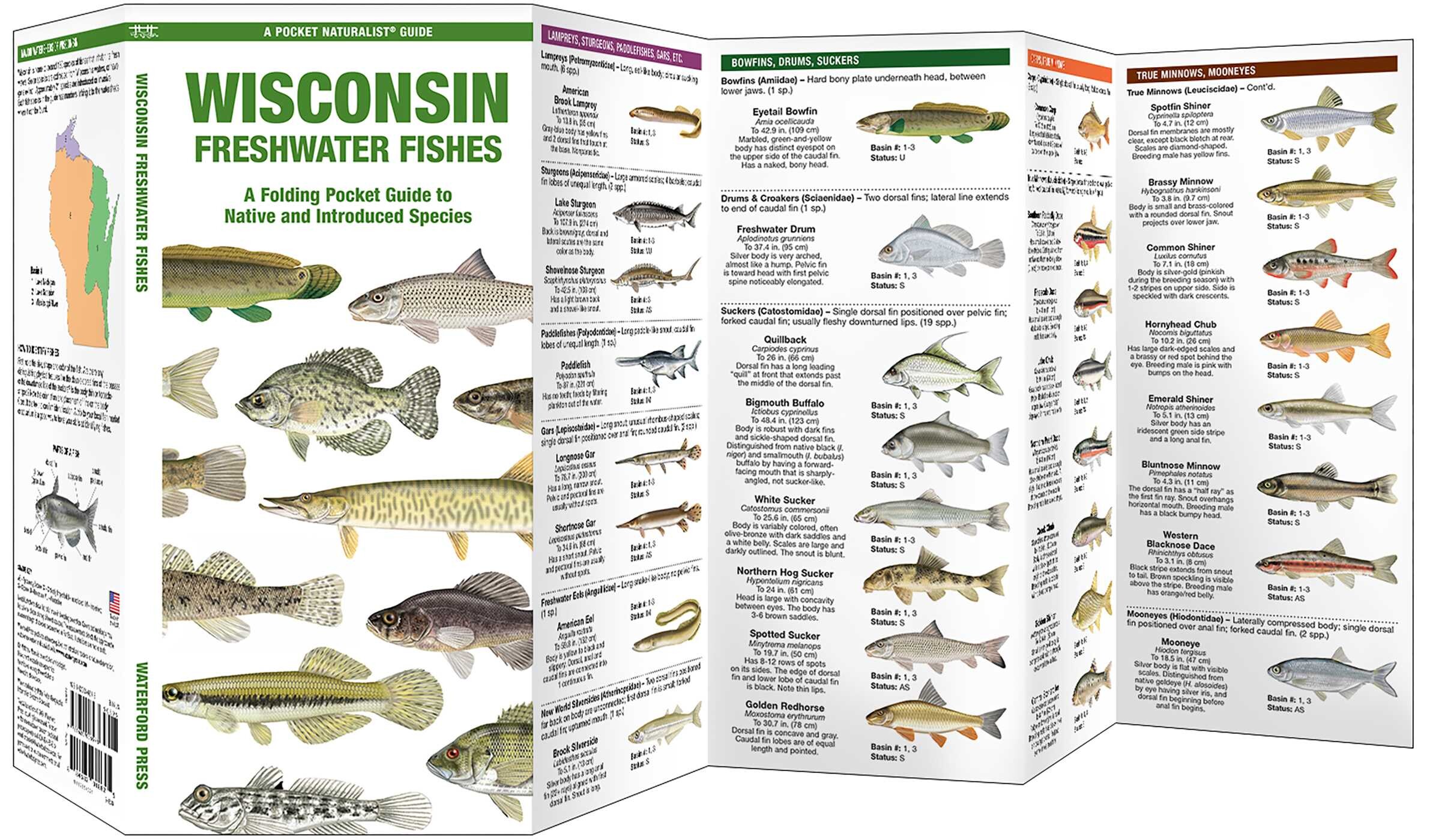 Wisconsin Freshwater Fishes