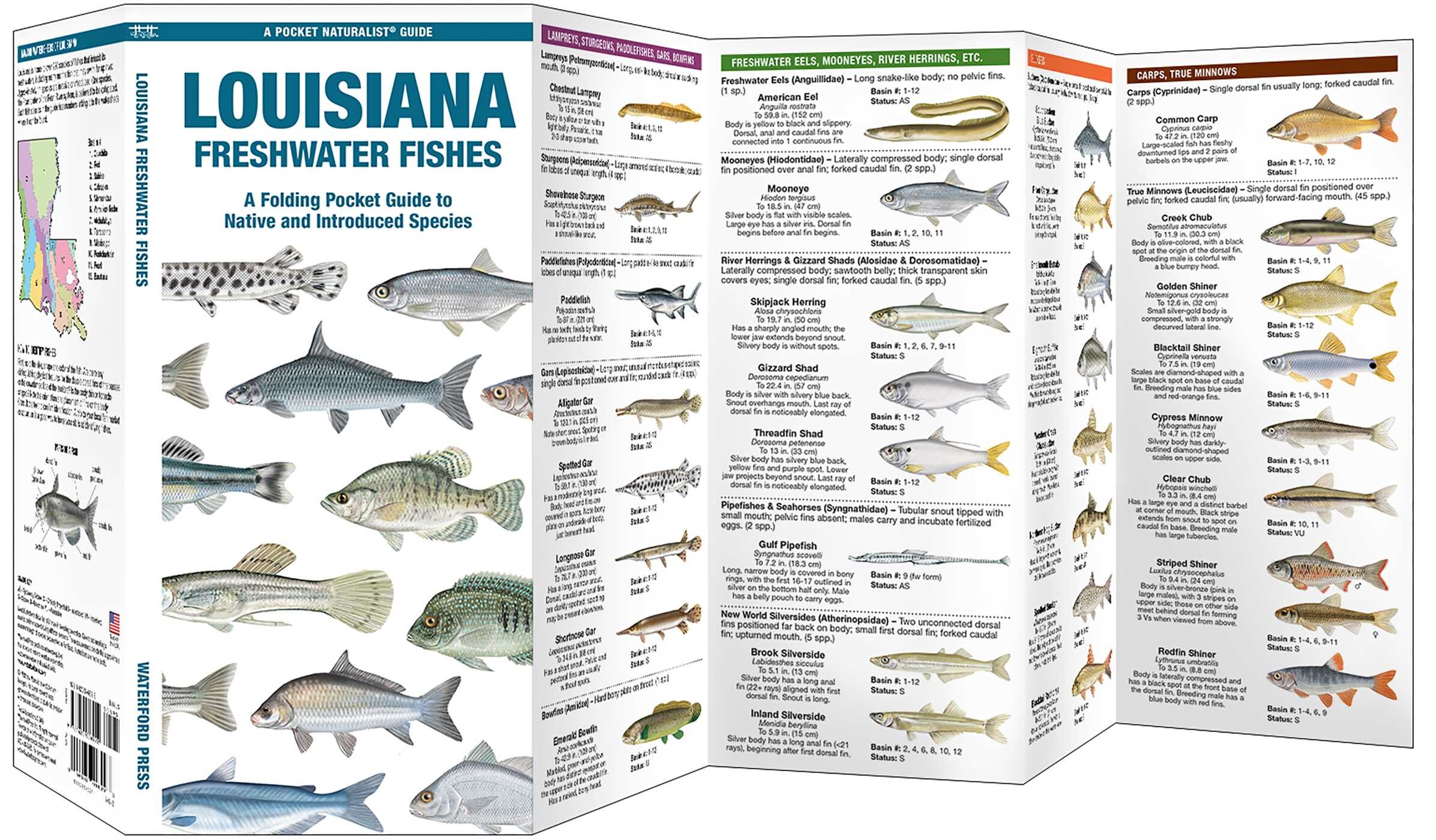 Louisiana Freshwater Fishes