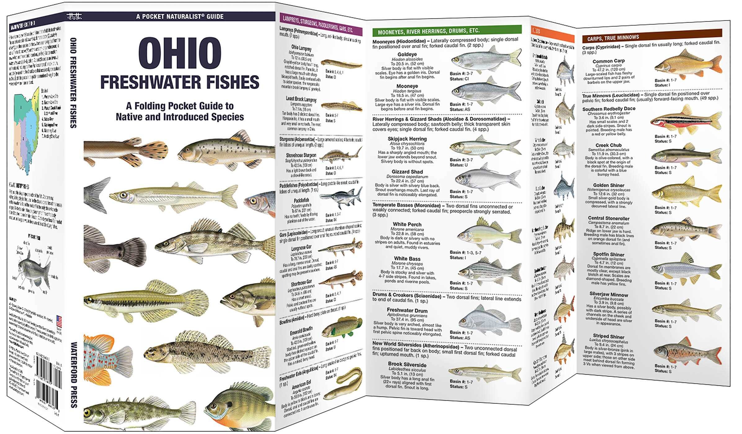 Ohio Freshwater Fishes