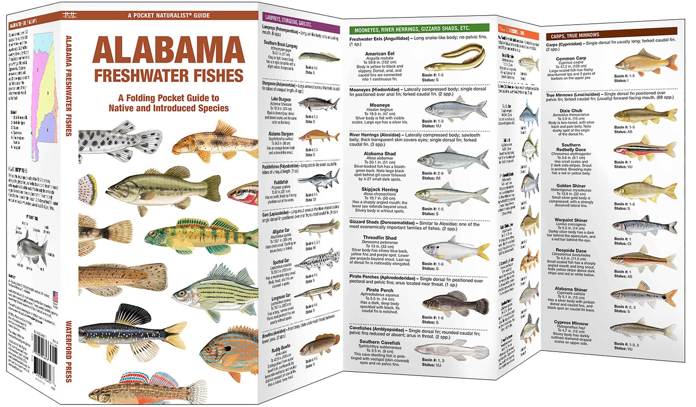 Alabama Freshwater Fishes