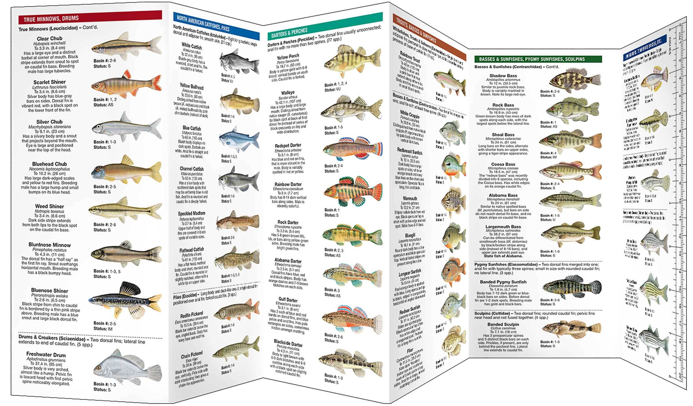 Alabama Freshwater Fishes