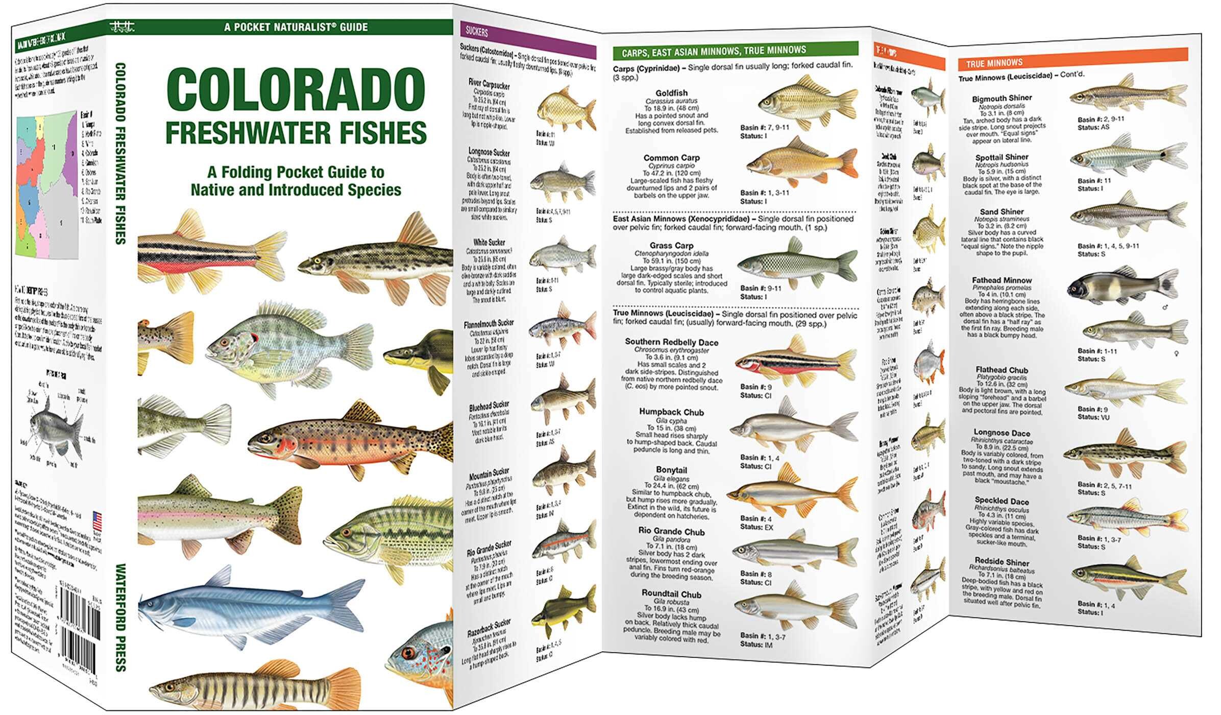 Colorado Freshwater Fishes