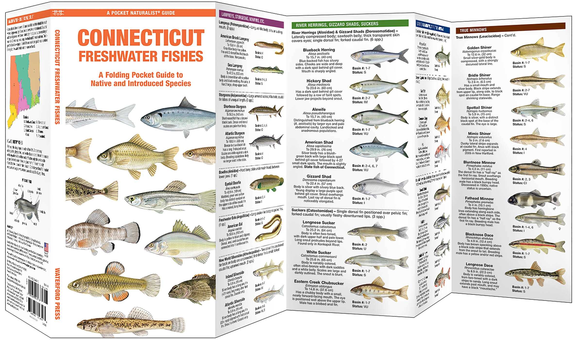 Connecticut Freshwater Fishes
