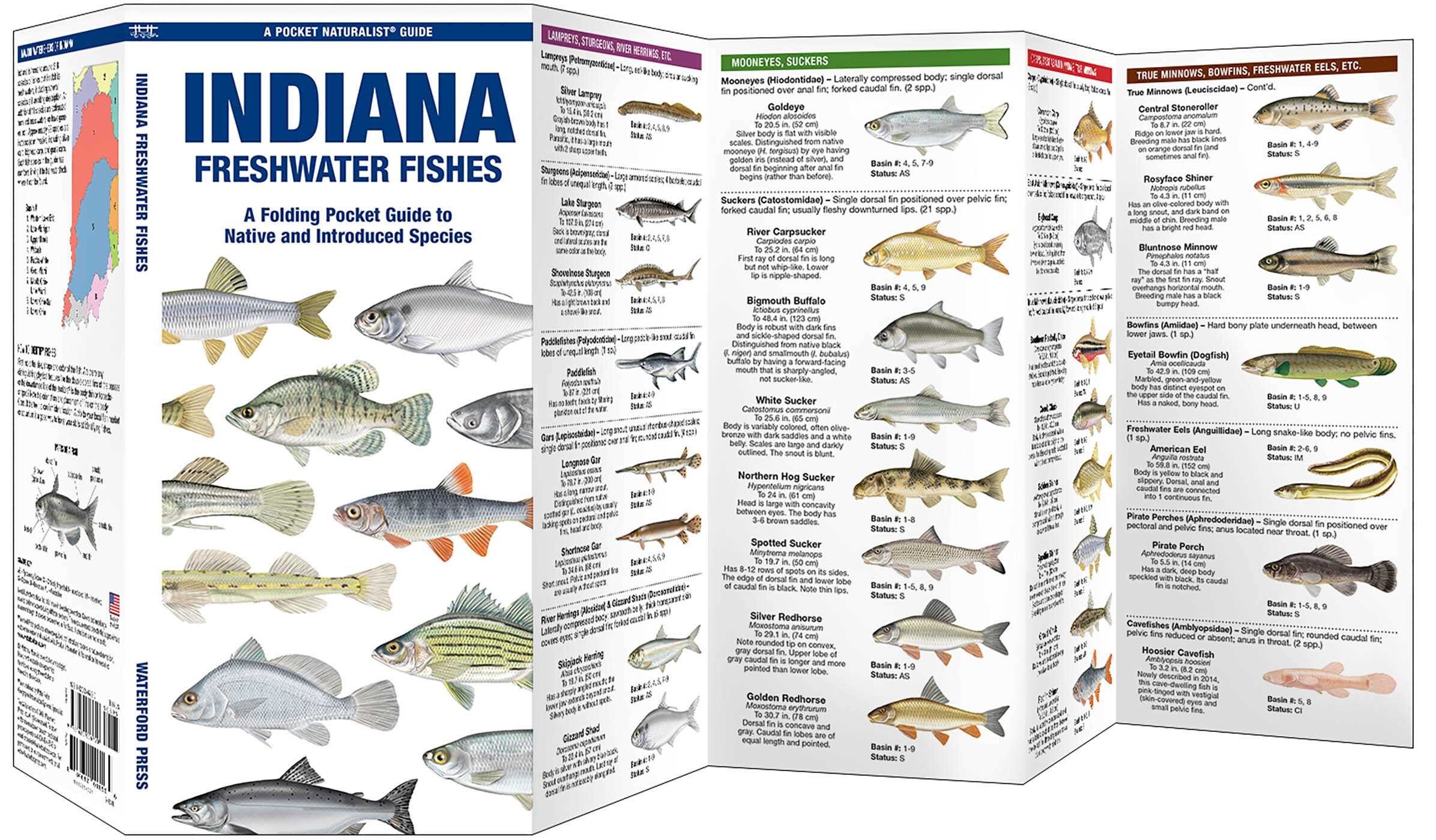 Indiana Freshwater Fishes