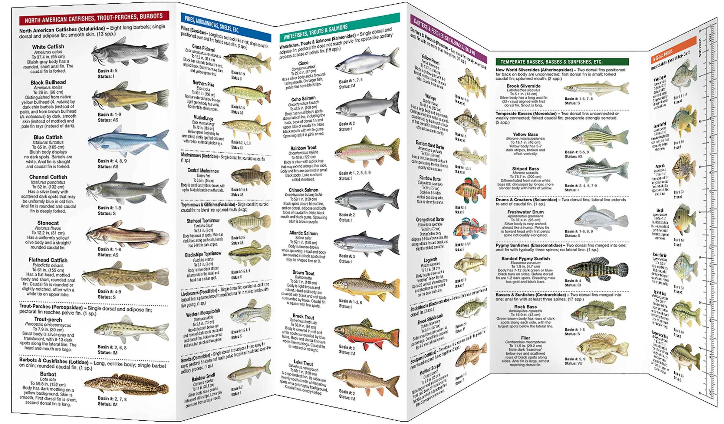 Indiana Freshwater Fishes