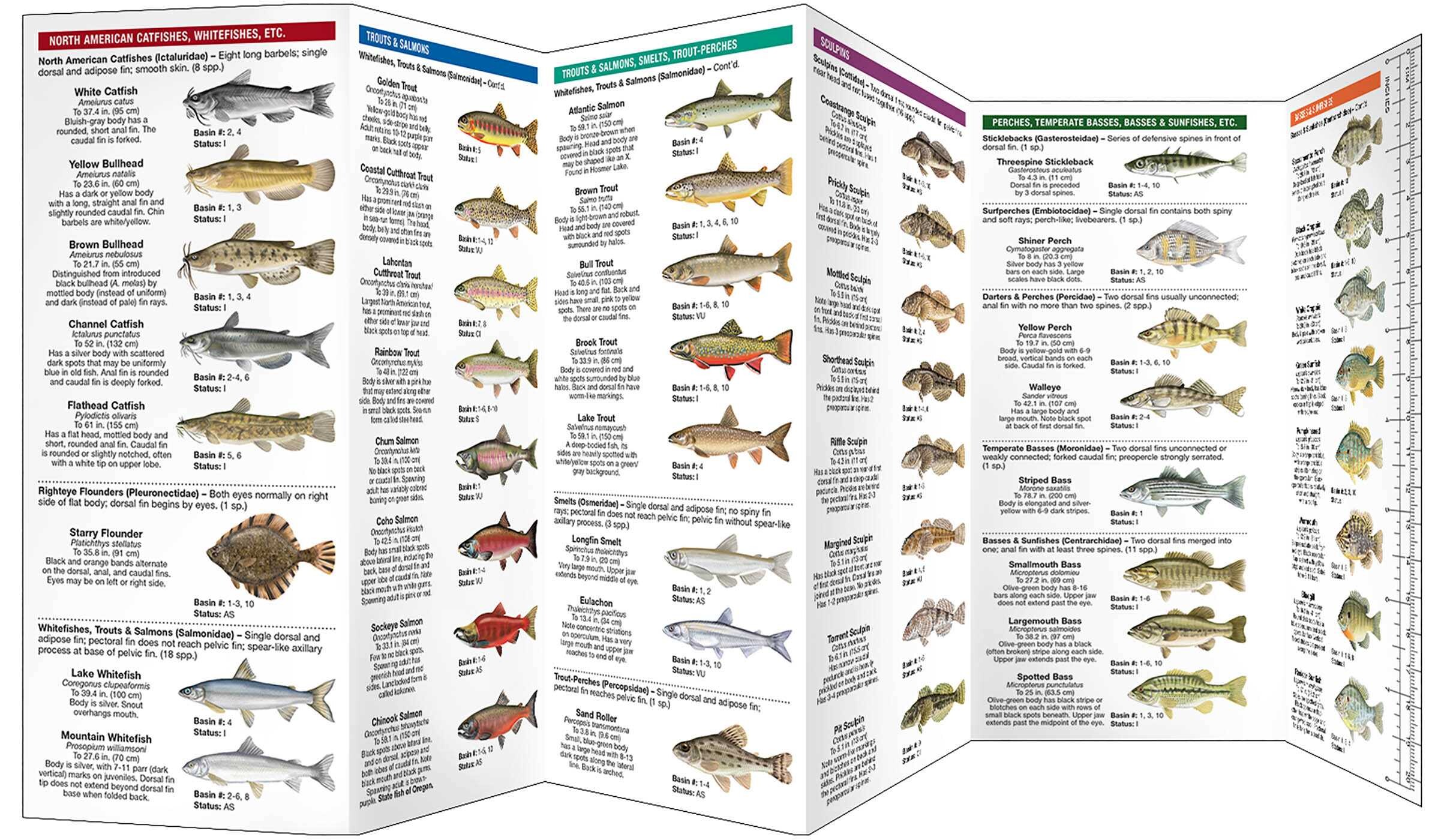 Oregon Freshwater Fishes