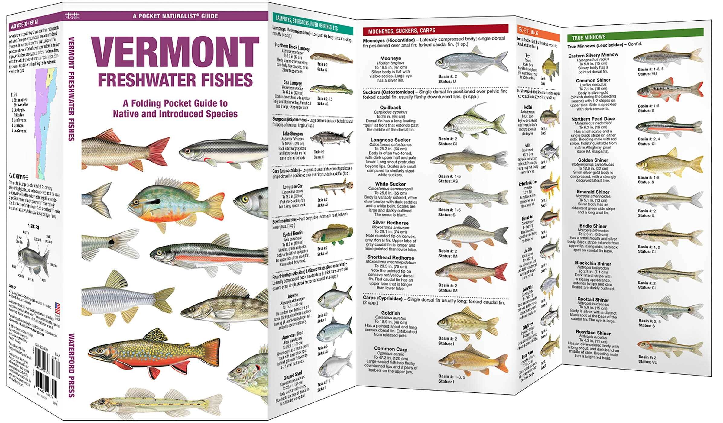 Vermont Freshwater Fishes