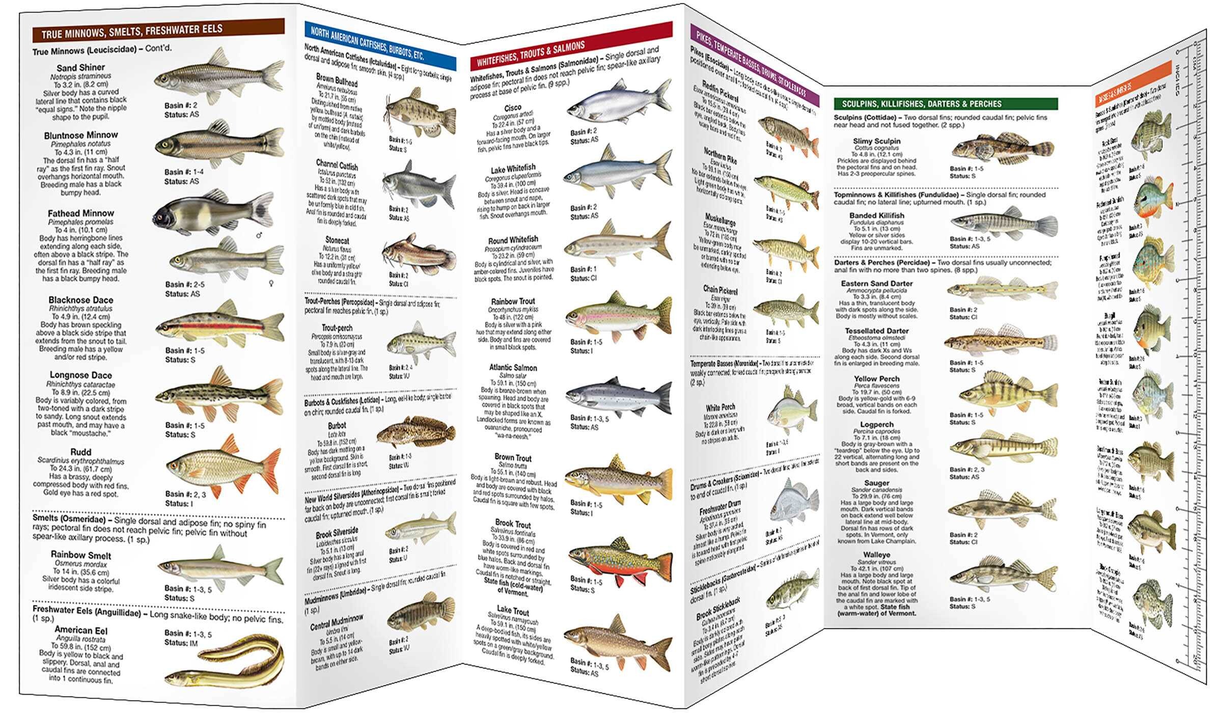 Vermont Freshwater Fishes