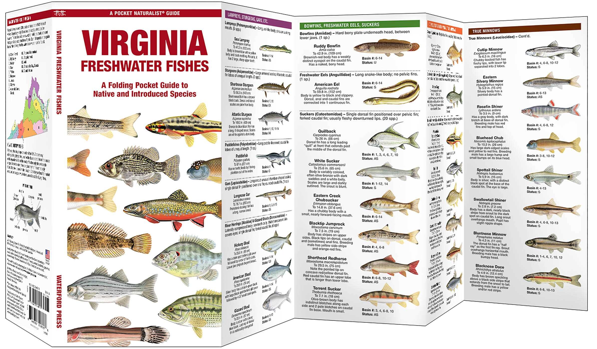 Virginia Freshwater Fishes