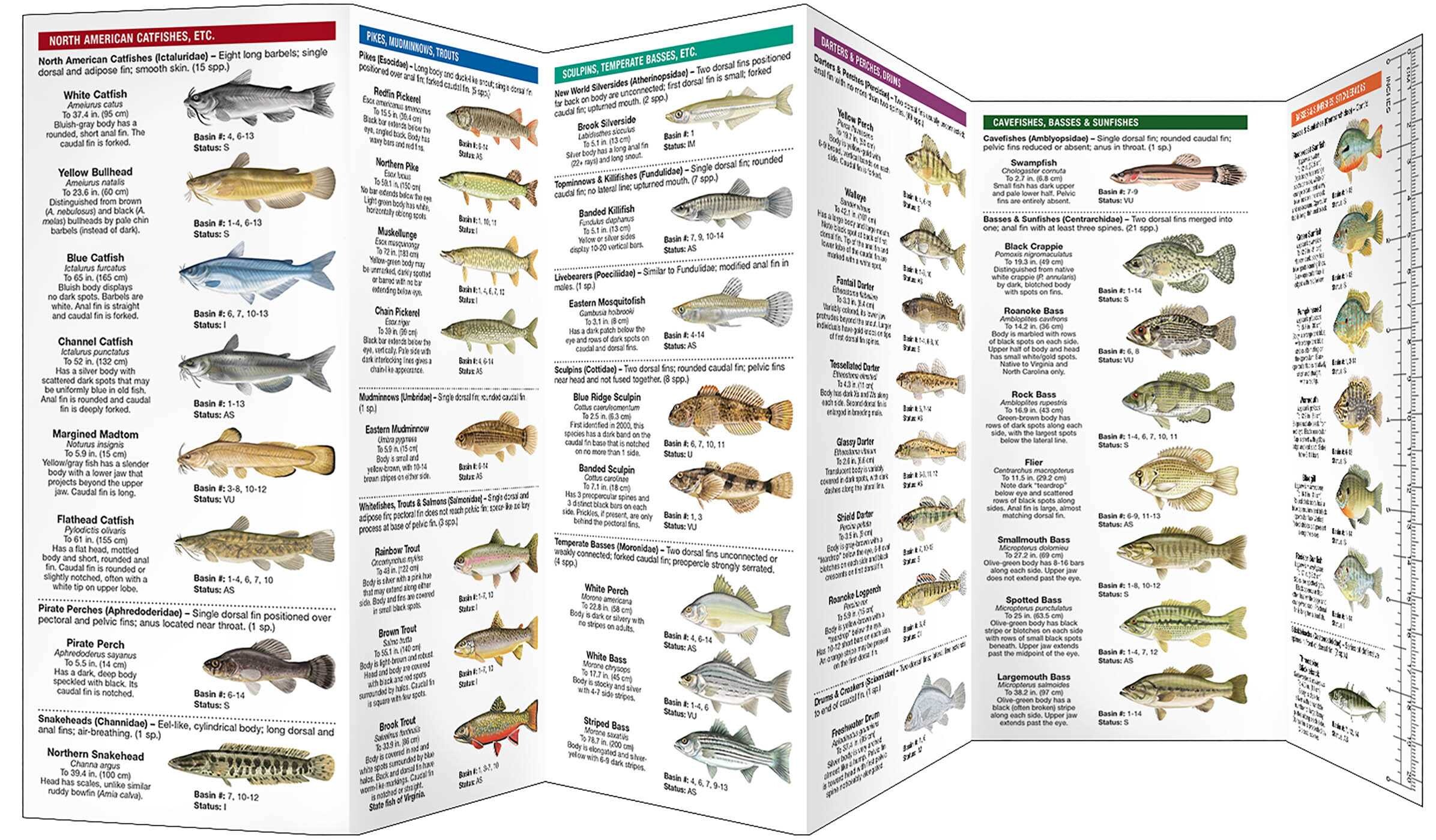 Virginia Freshwater Fishes
