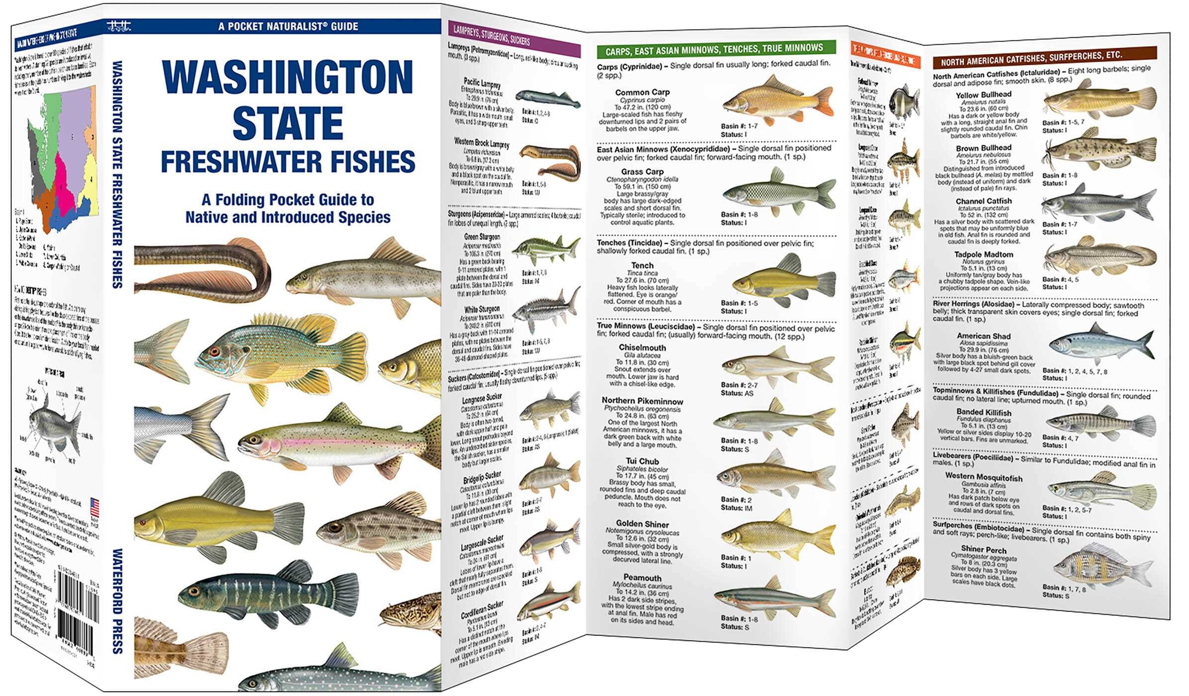 Washington State Freshwater Fishes