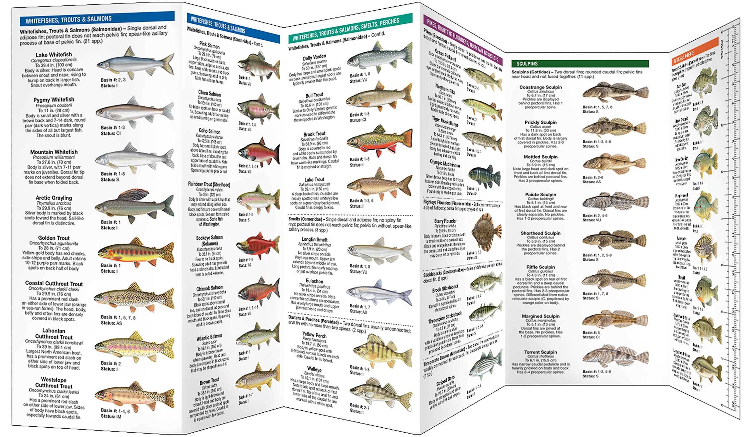 Washington State Freshwater Fishes