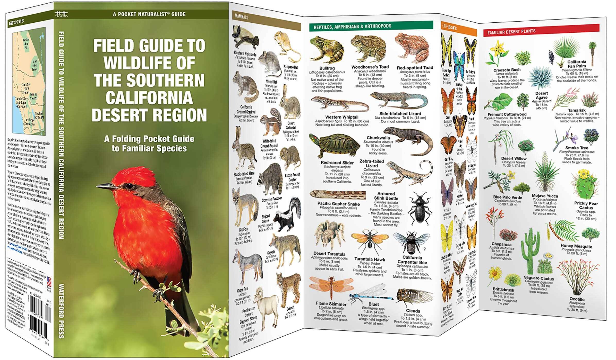 Field Guide to Wildlife of the Southern California Desert Region