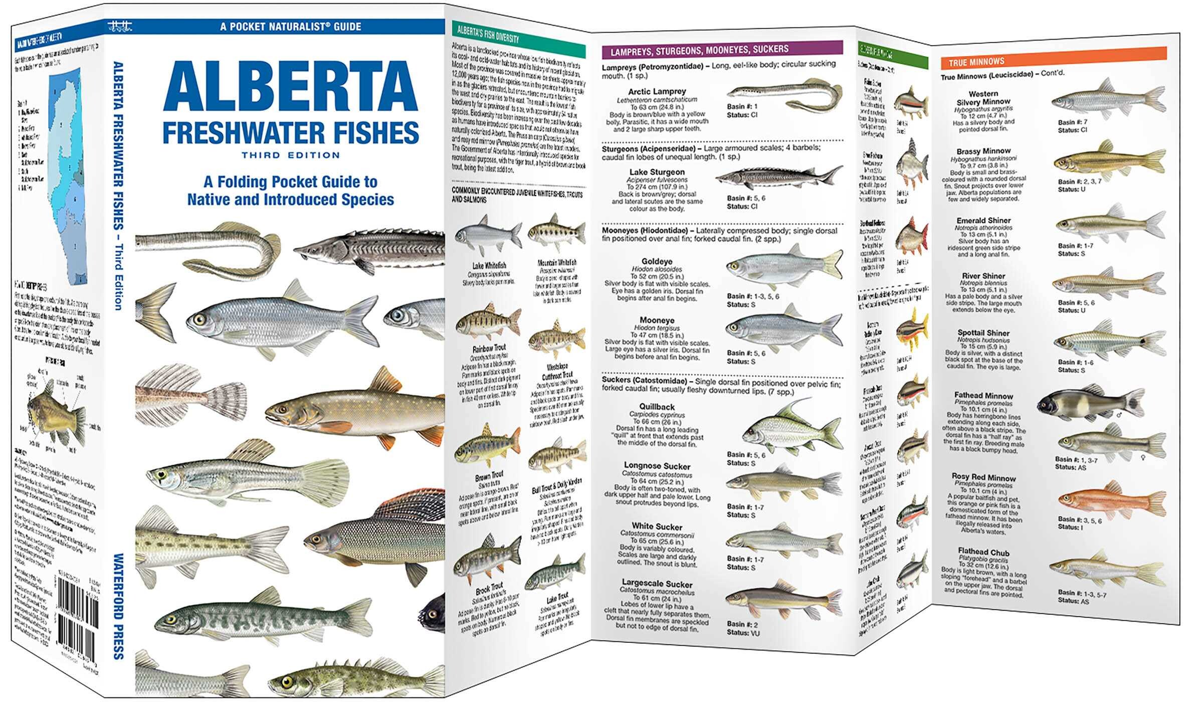Alberta Freshwater Fishes, 3rd Ed