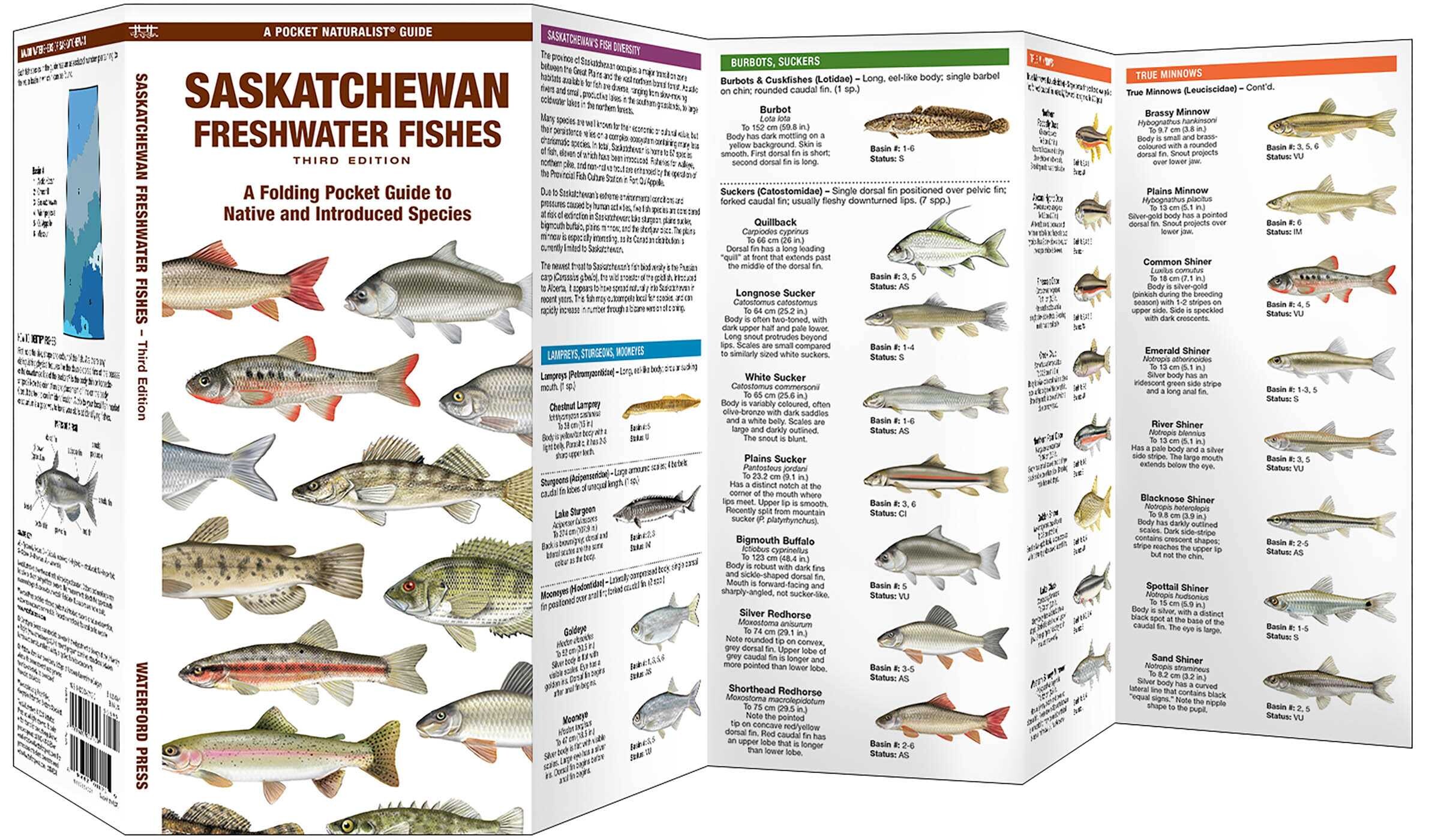 Saskatchewan Freshwater Fishes