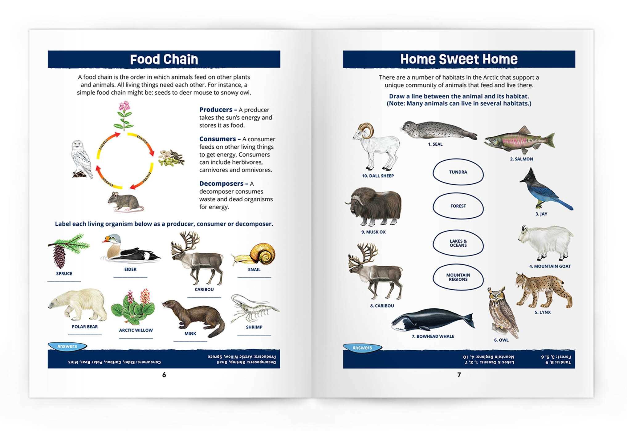 Arctic Wildlife Nature Activity Book