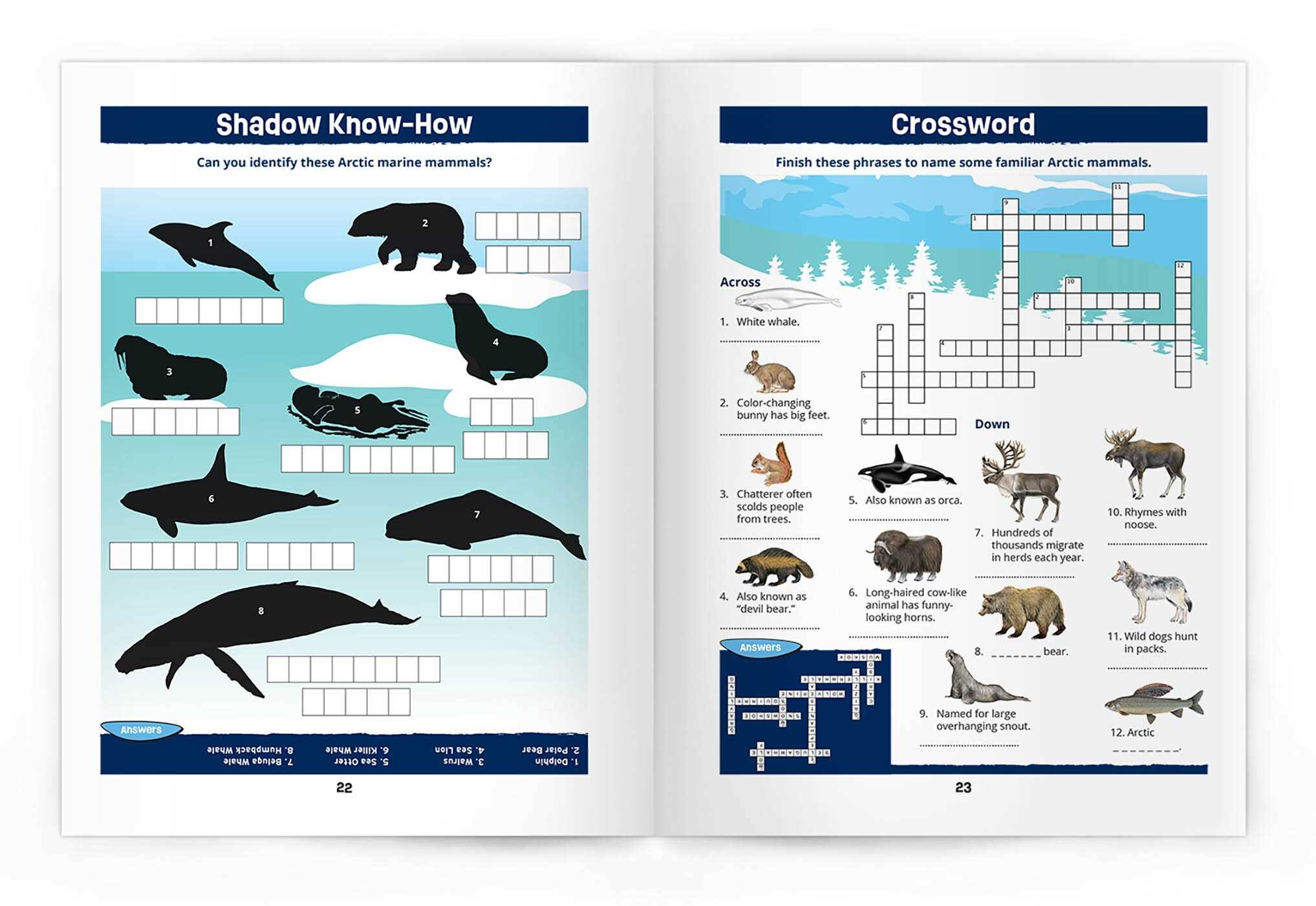Arctic Wildlife Nature Activity Book