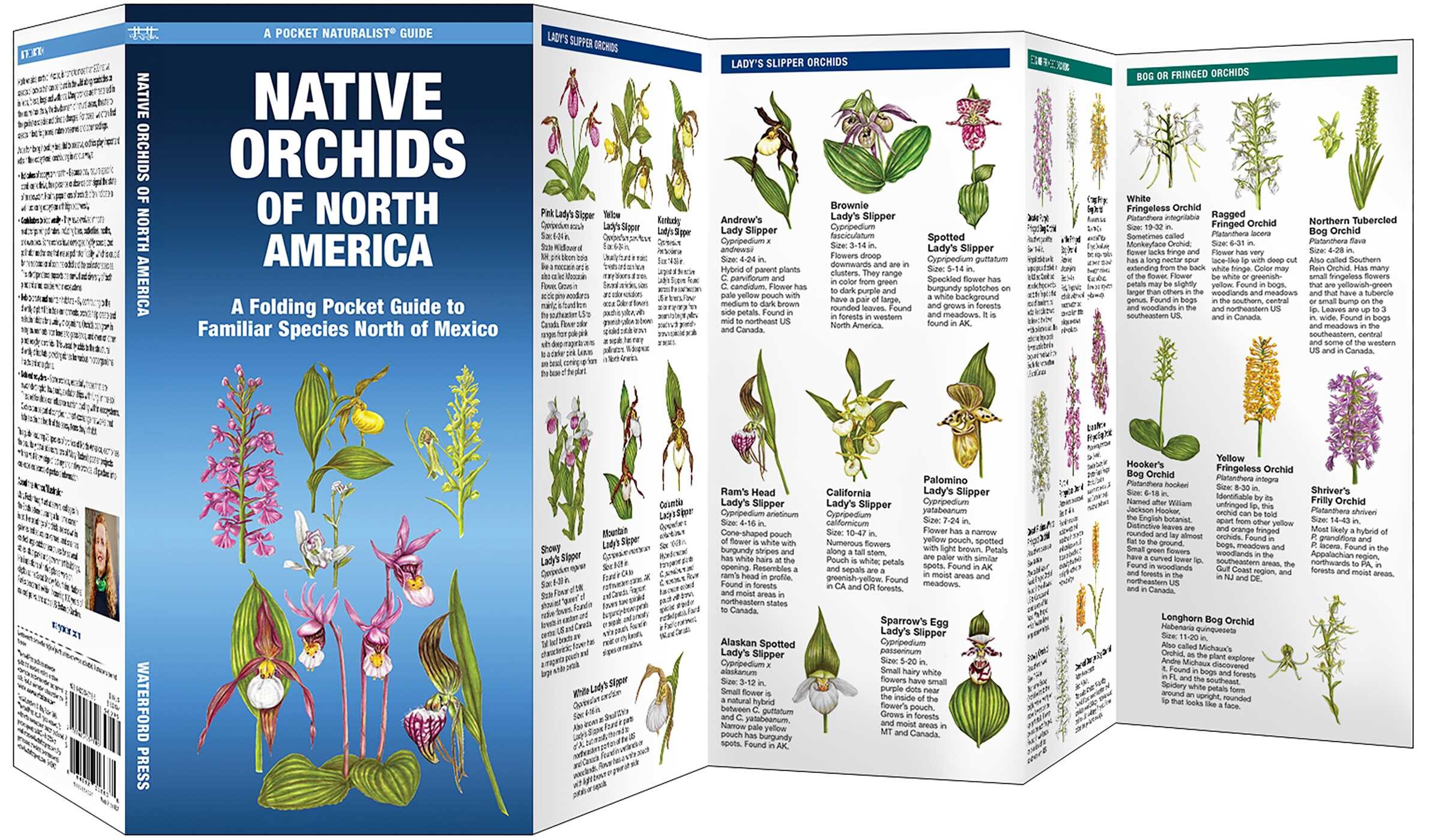 Native Orchids of North America