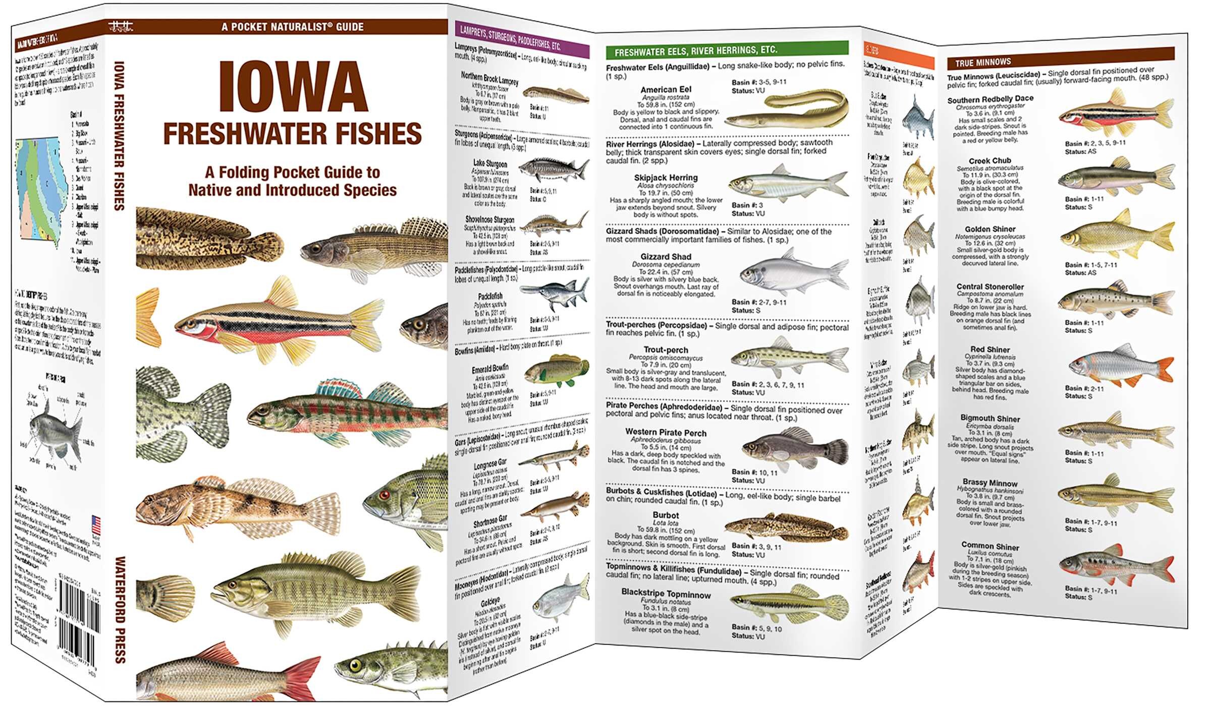 Iowa Freshwater Fishes