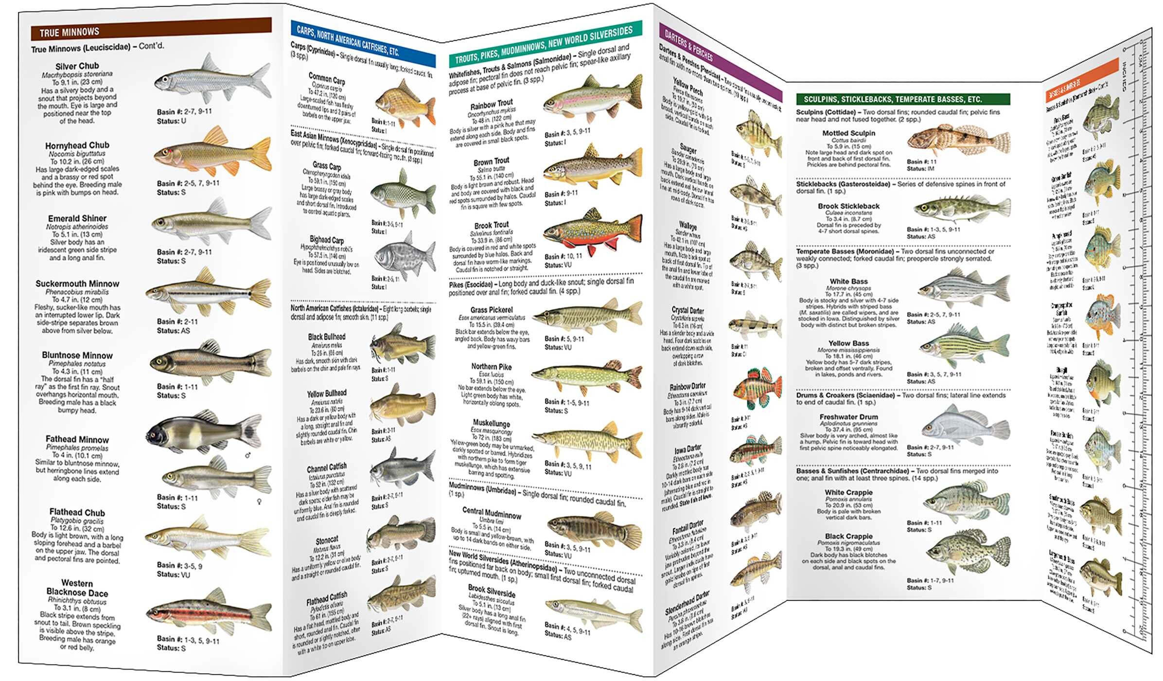 Iowa Freshwater Fishes