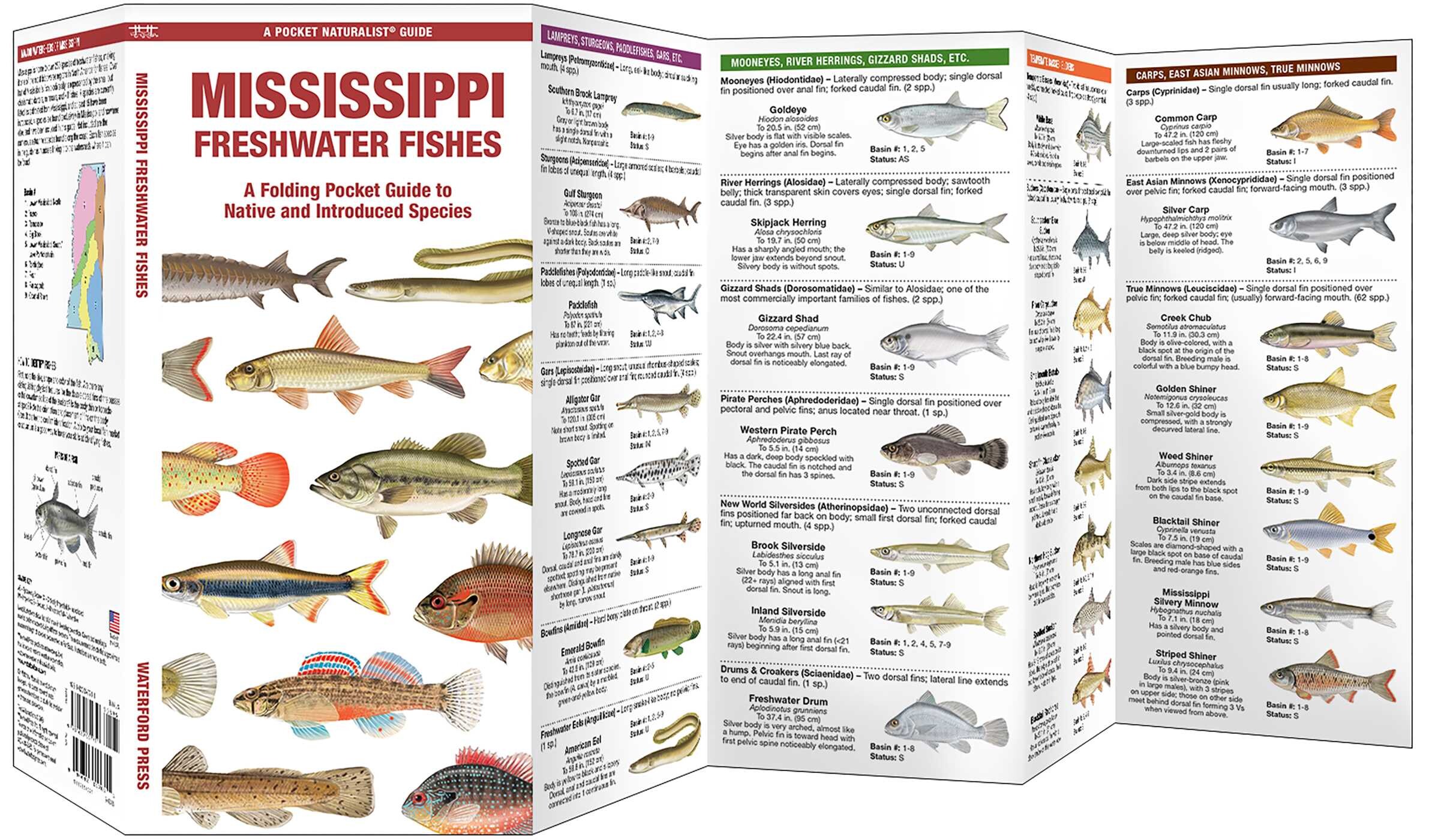 Mississippi Freshwater Fishes