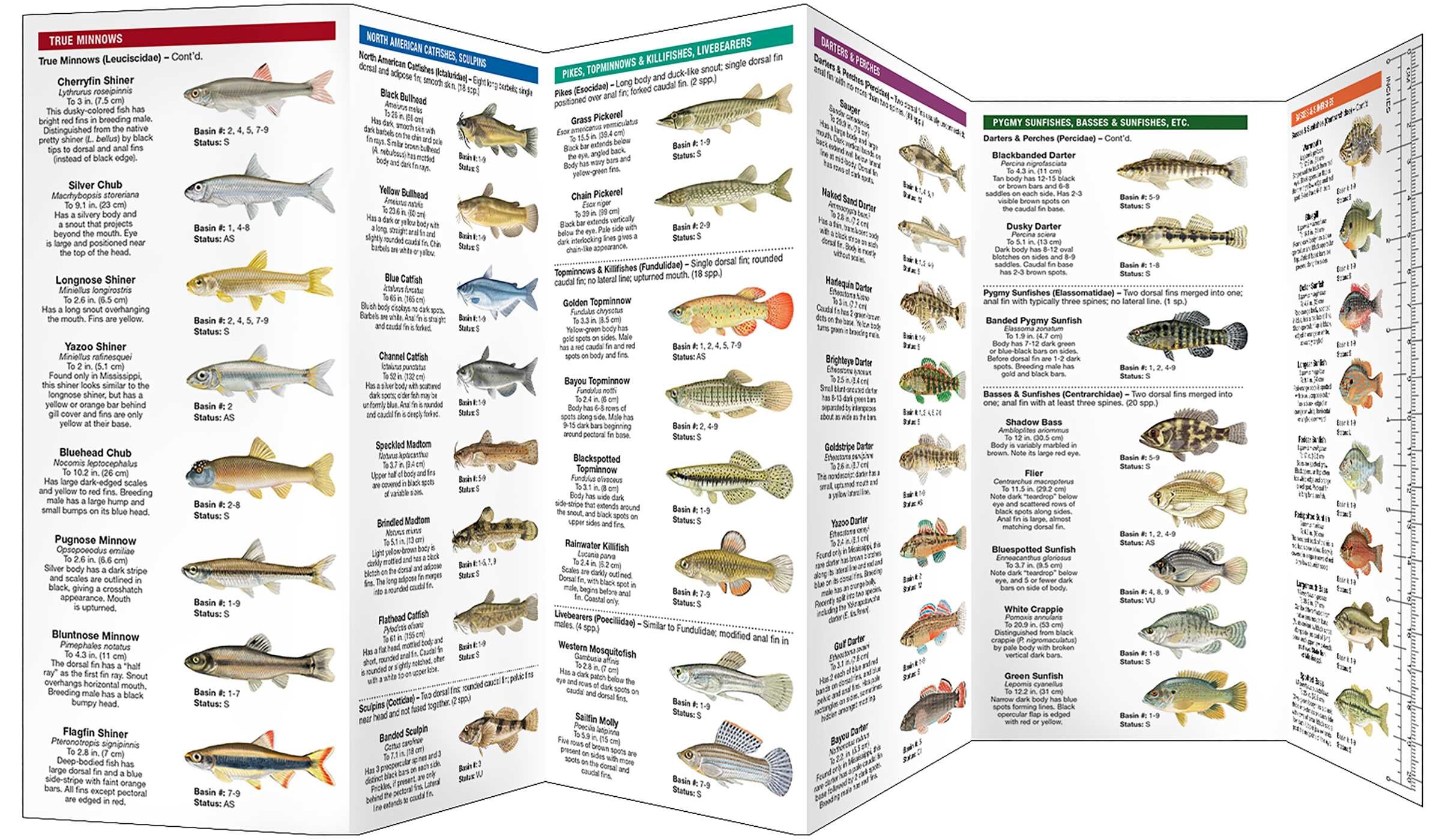Mississippi Freshwater Fishes