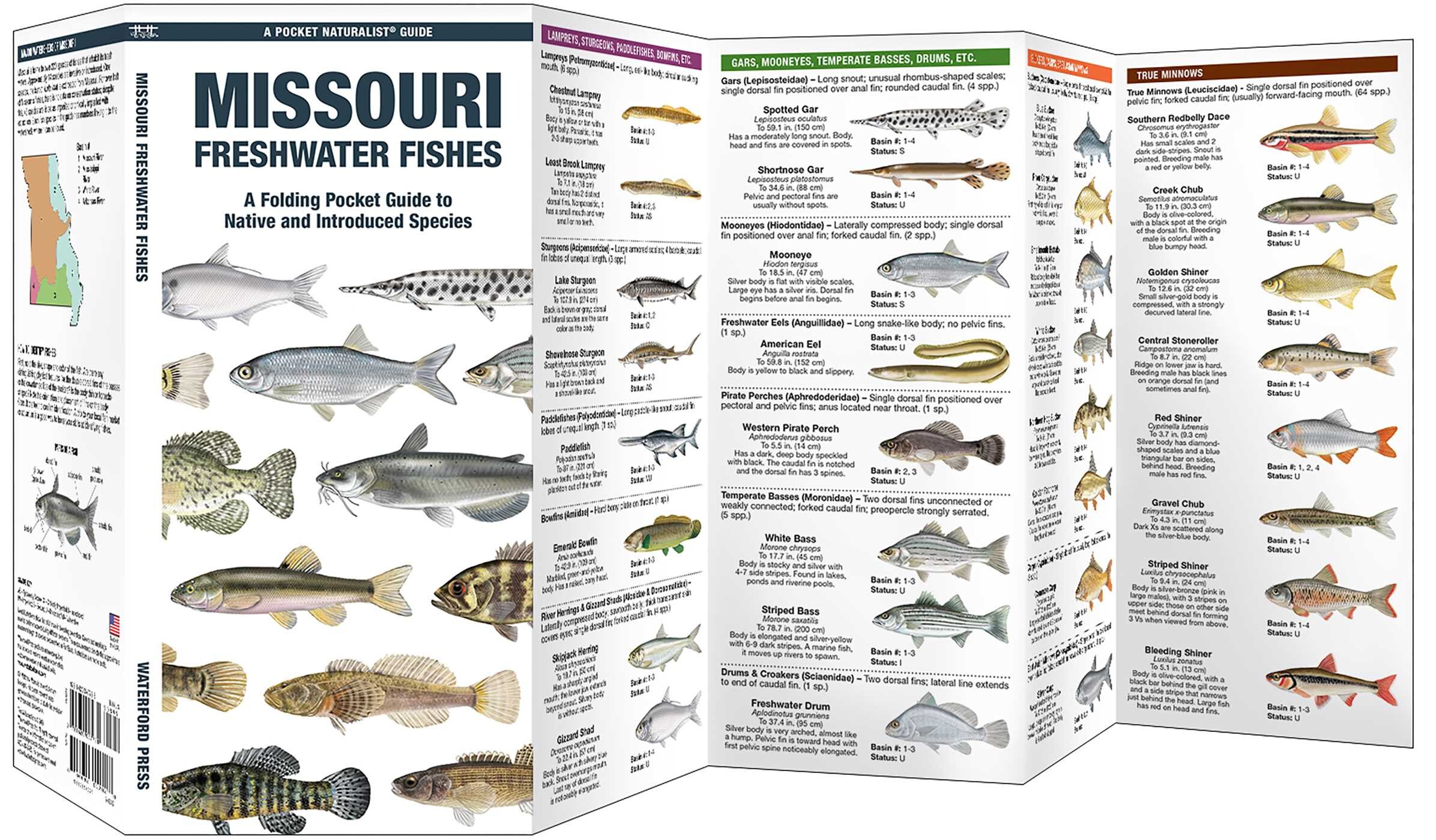 Missouri Freshwater Fishes