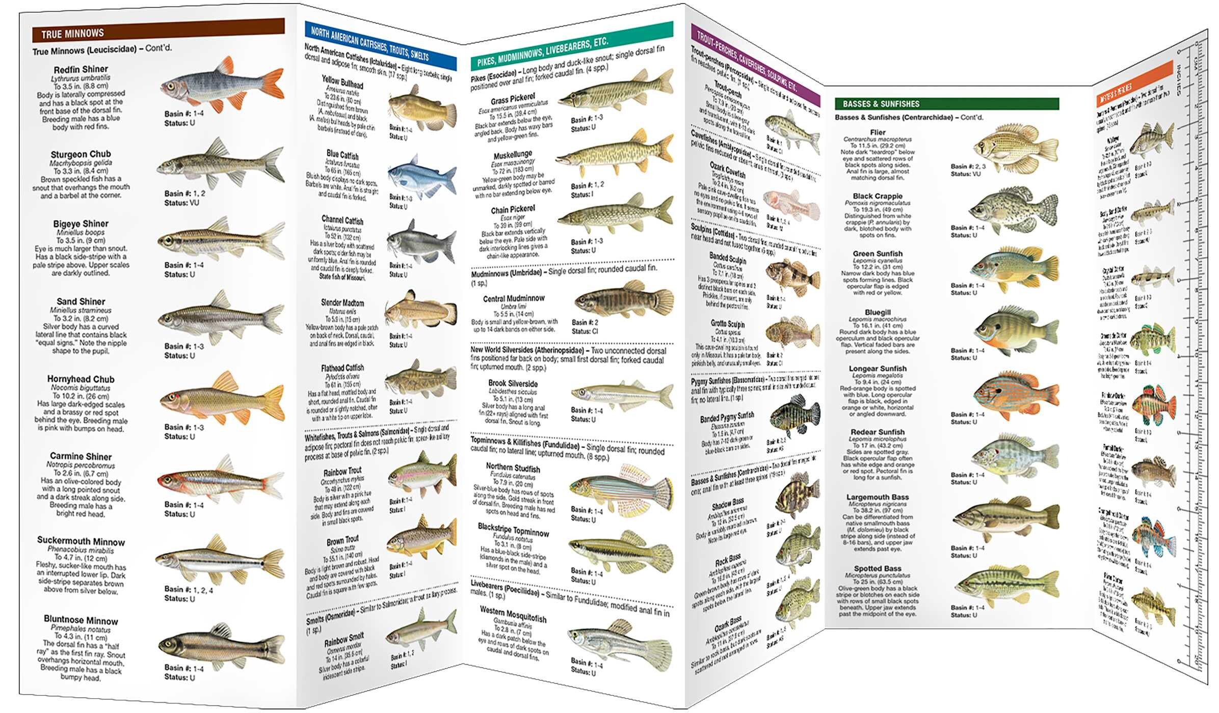 Missouri Freshwater Fishes