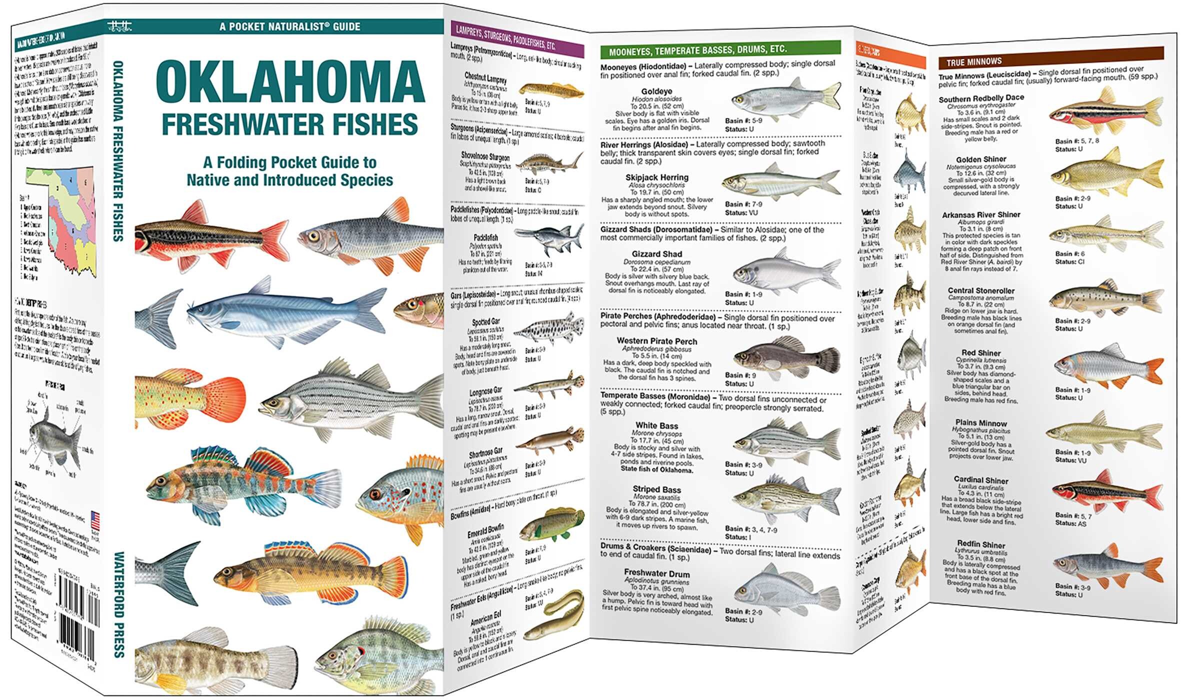 Oklahoma Freshwater Fishes