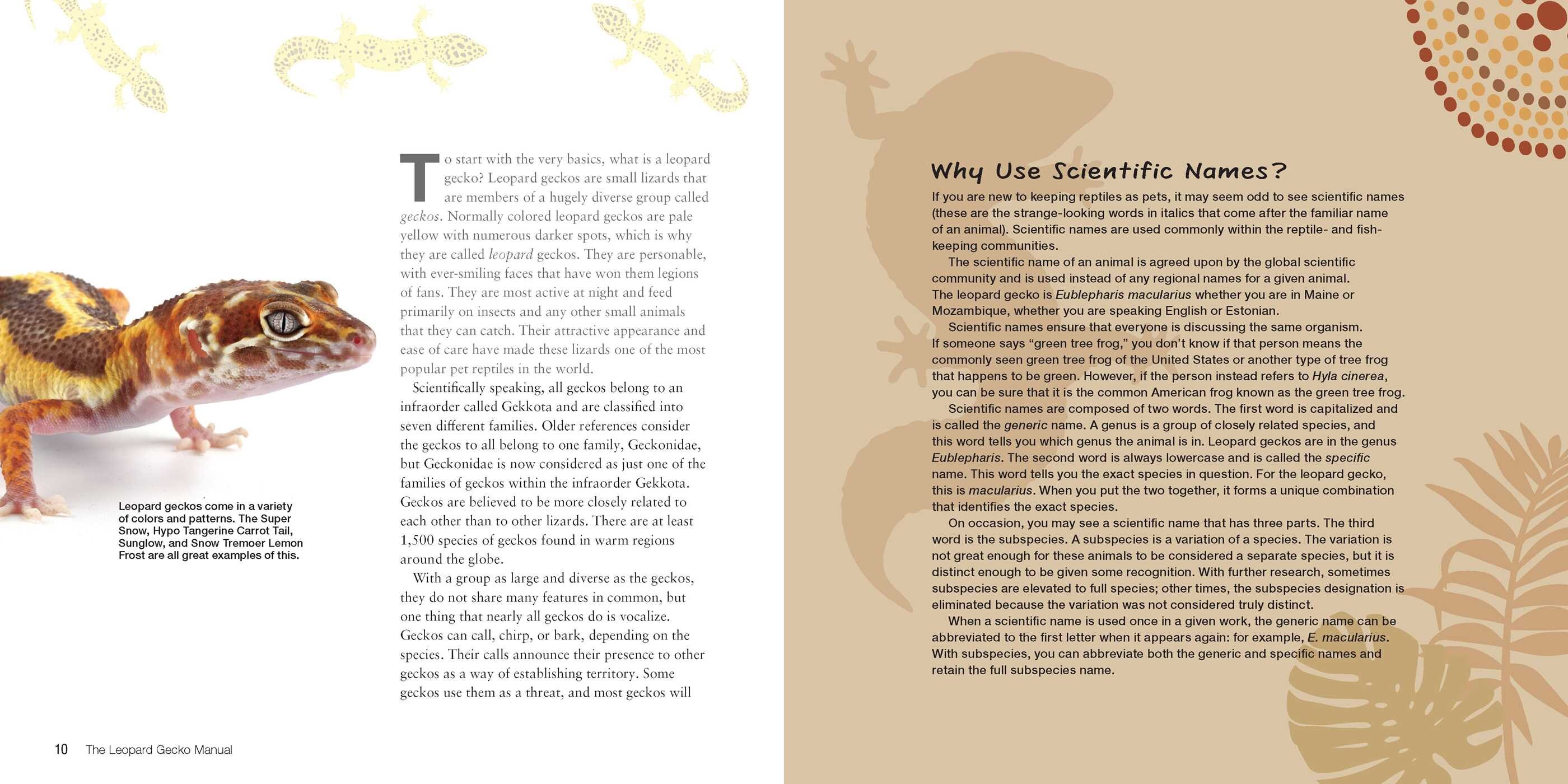 Leopard Gecko Manual, 3rd Edition