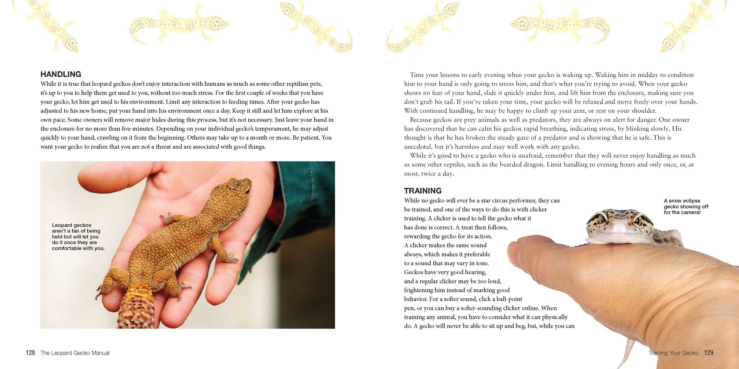 Leopard Gecko Manual, 3rd Edition