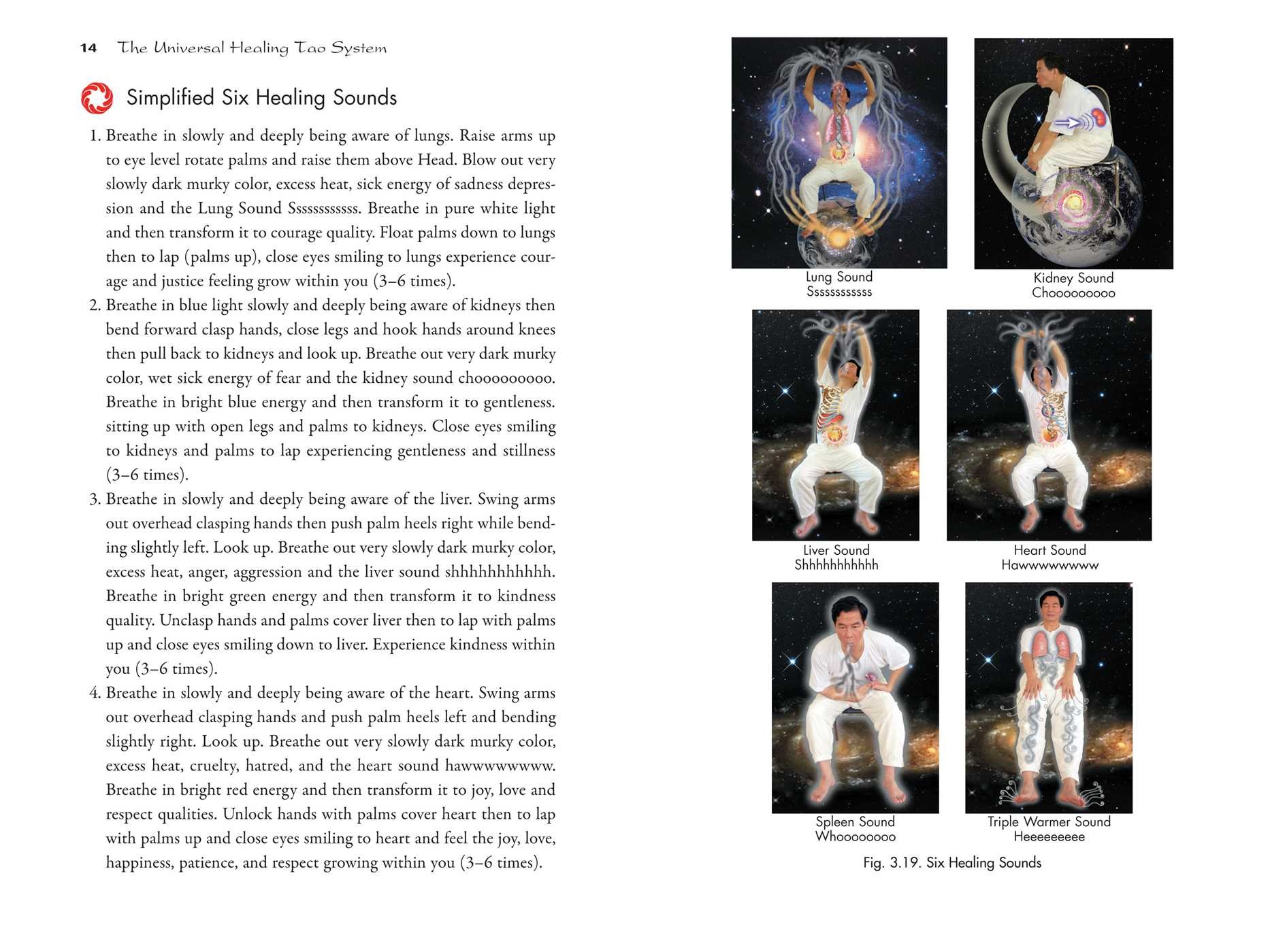 Tao of Immortality