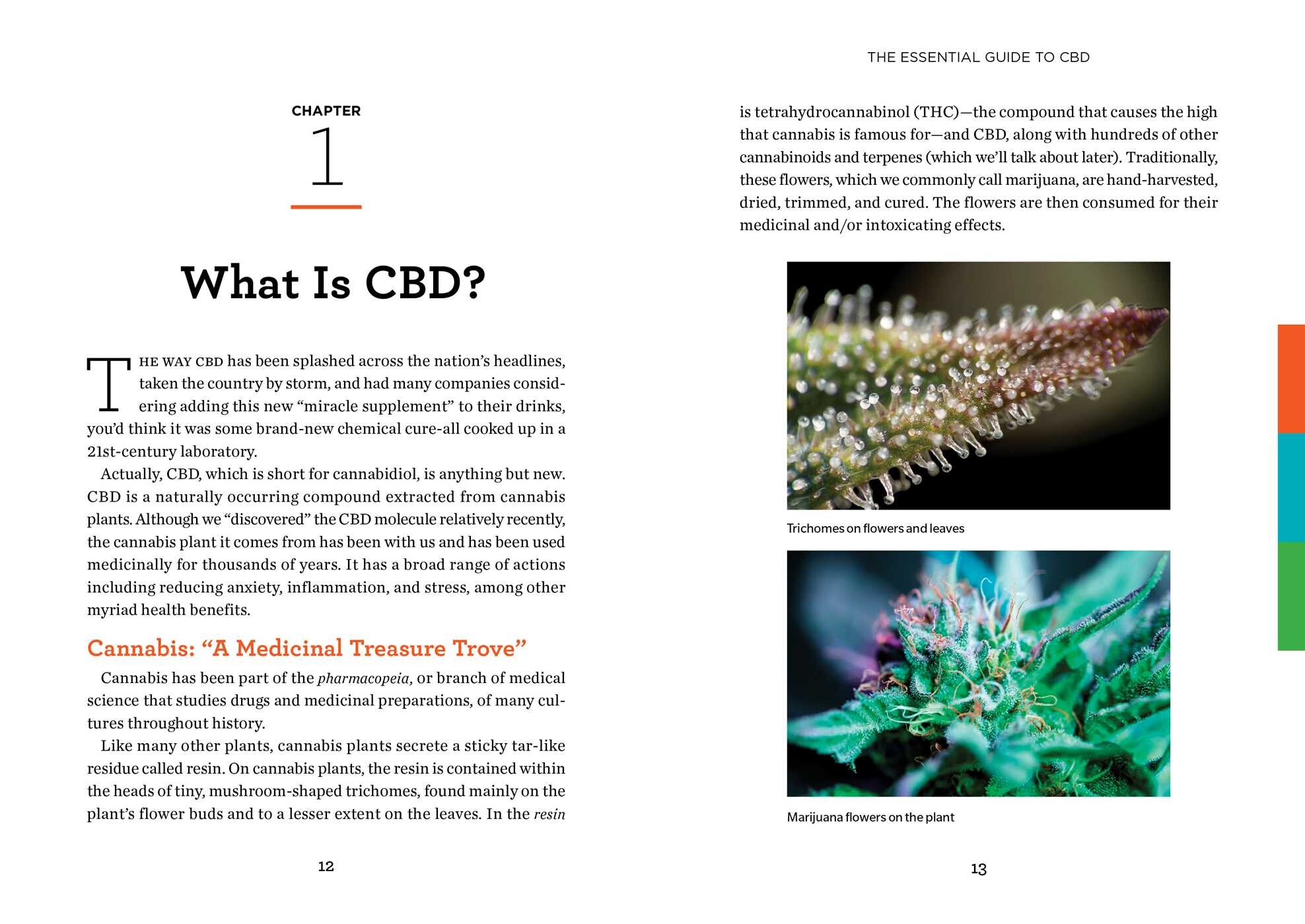 Reader's Digest The Essential Guide to CBD