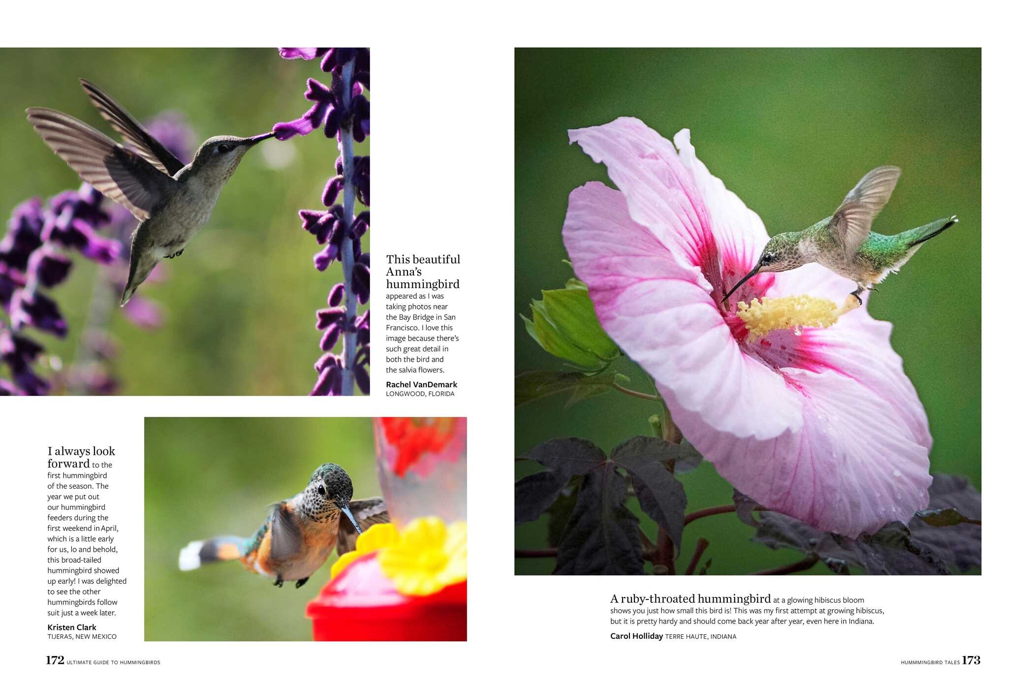 Birds & Blooms Ultimate Guide to Hummingbirds Book by Editors at