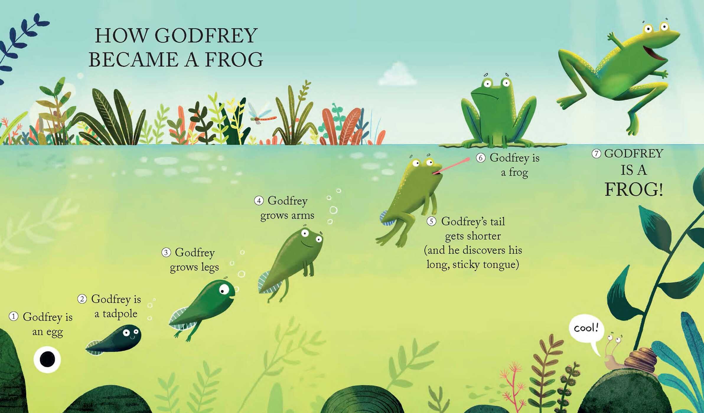 Godfrey is a Frog