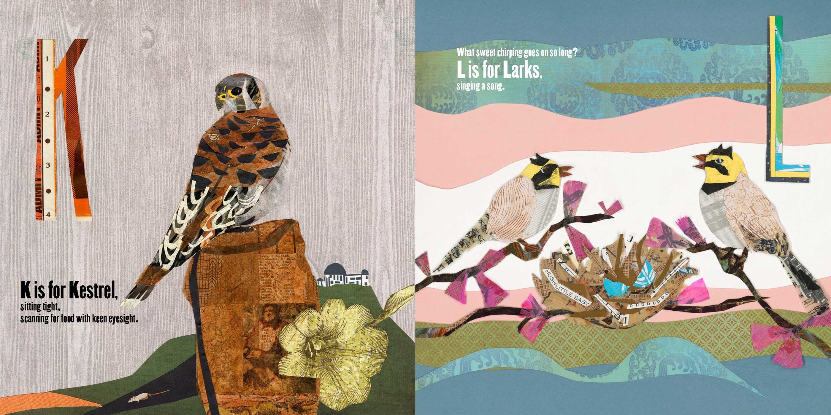 C is for Condor, Q is for Quail