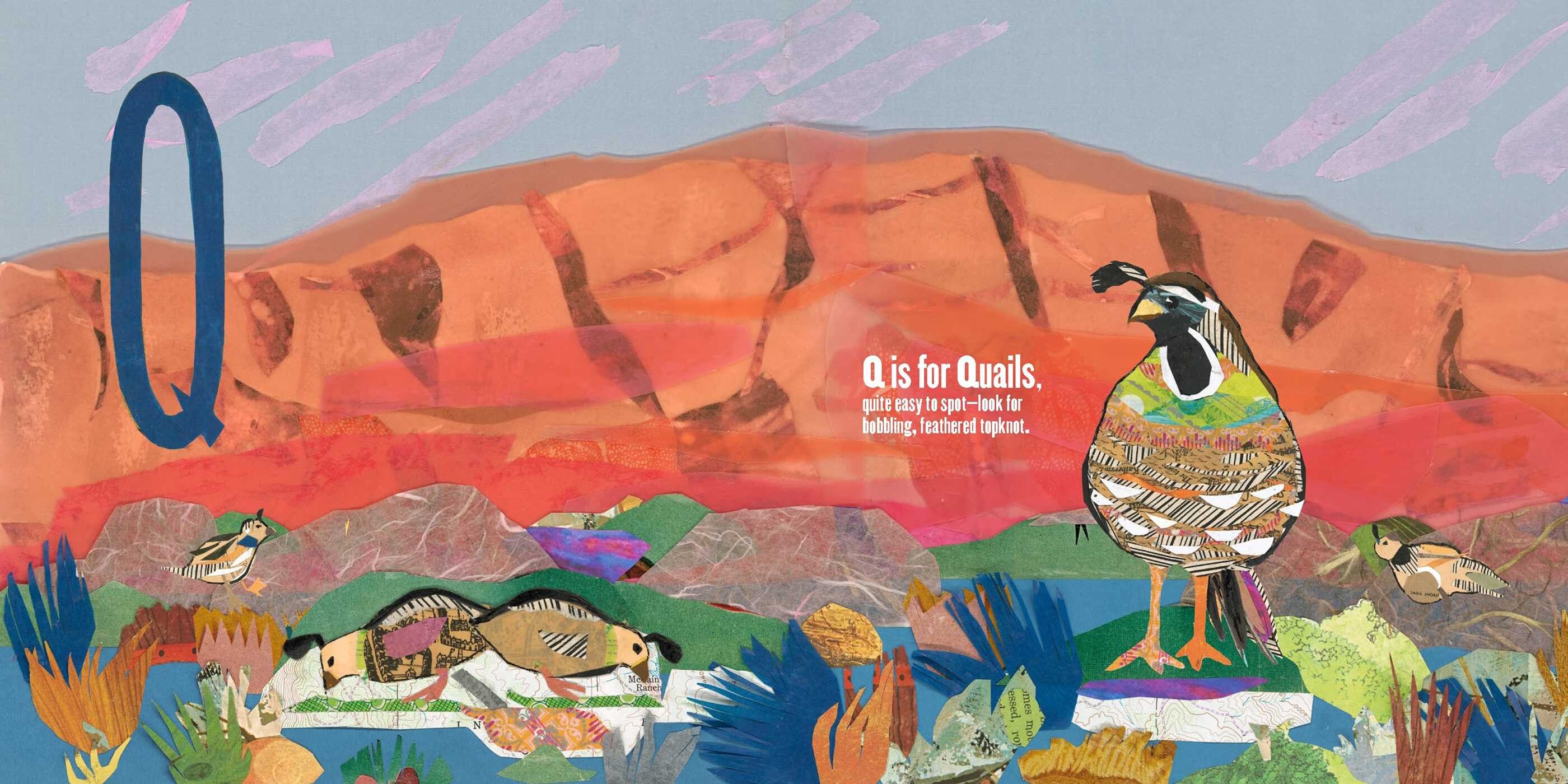 C is for Condor, Q is for Quail
