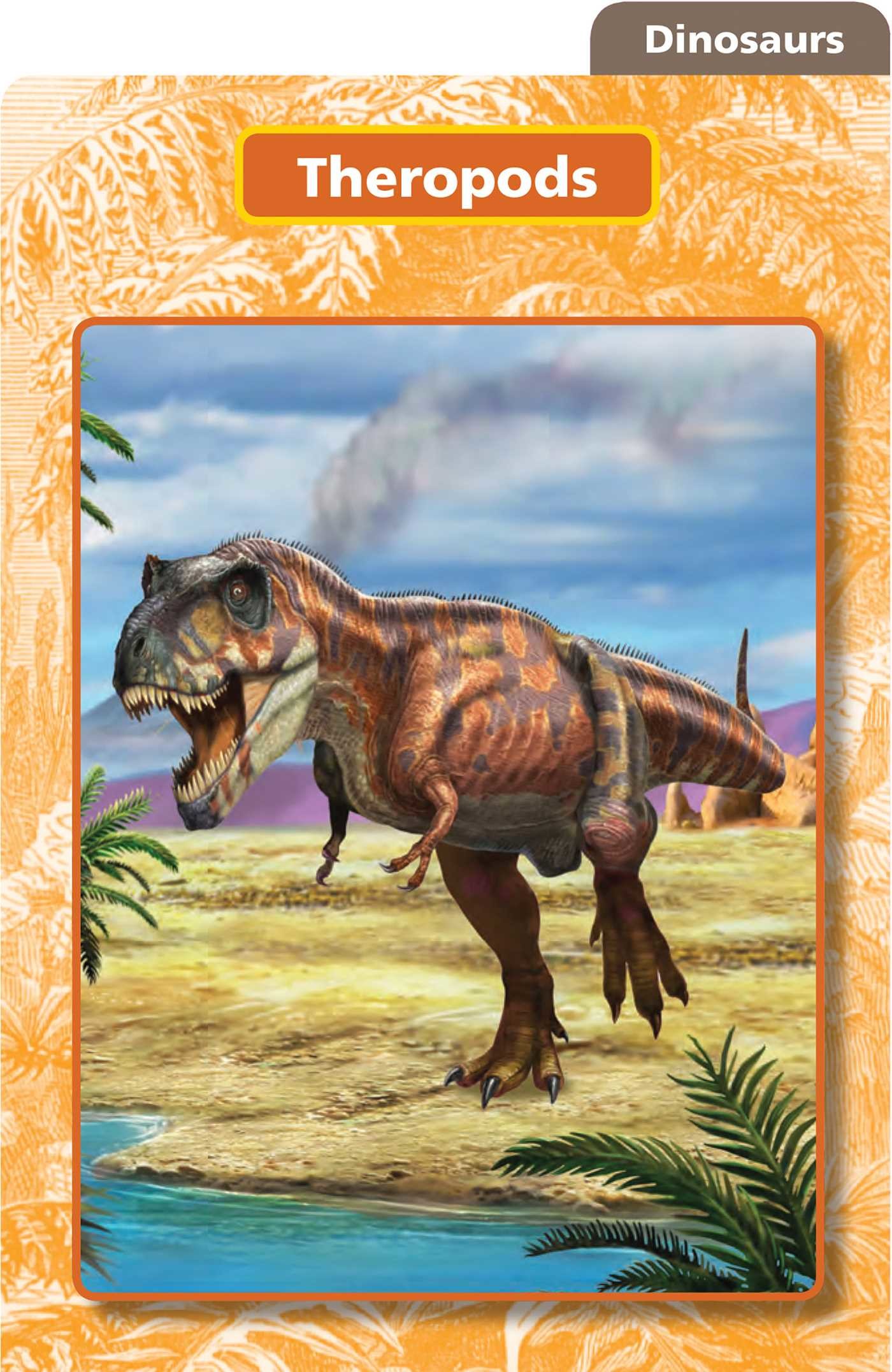 Smithsonian Everything You Need to Know: Grades 2-3