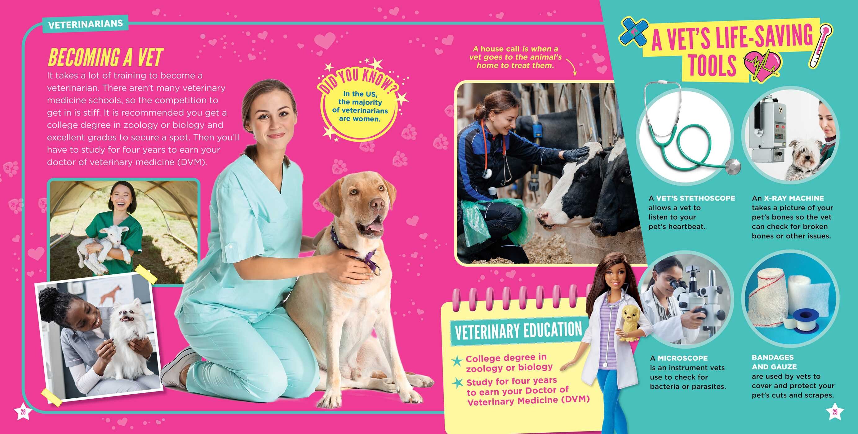 Barbie: Dream Careers