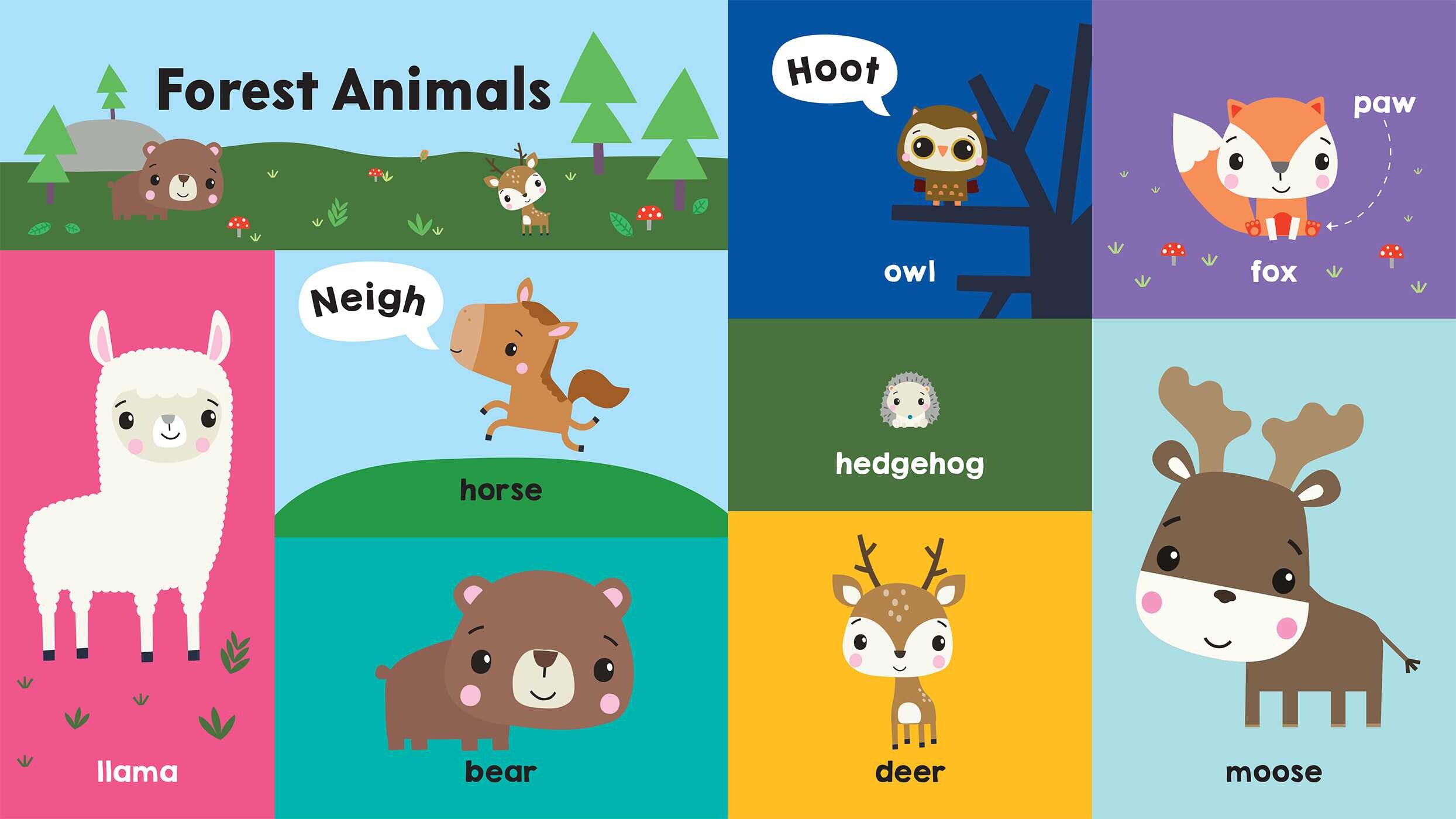 Fisher-Price:  First Animal Words