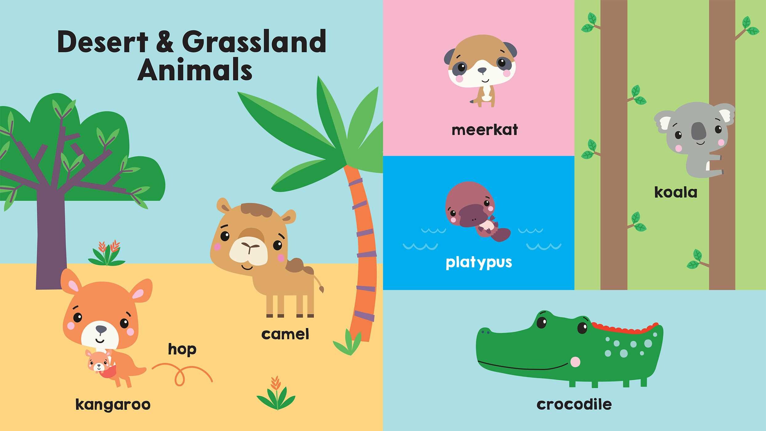 Fisher-Price:  First Animal Words