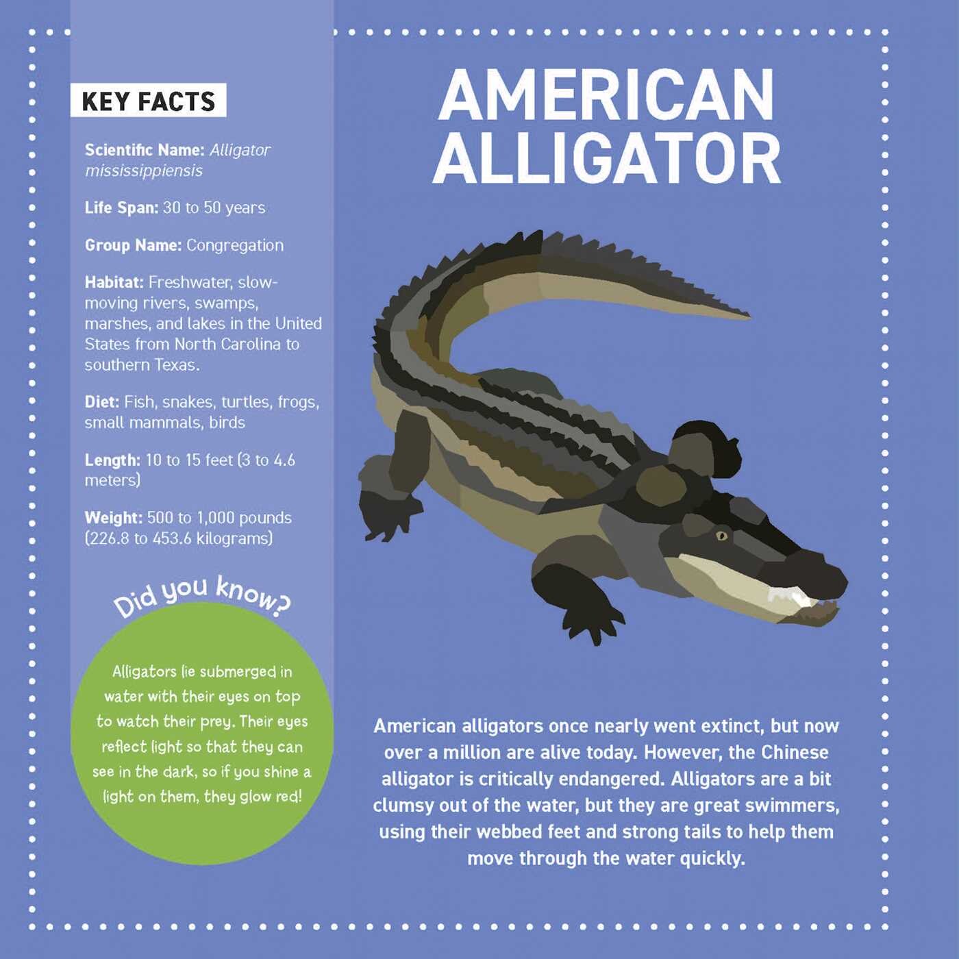 My Sticker Paintings: Reptiles