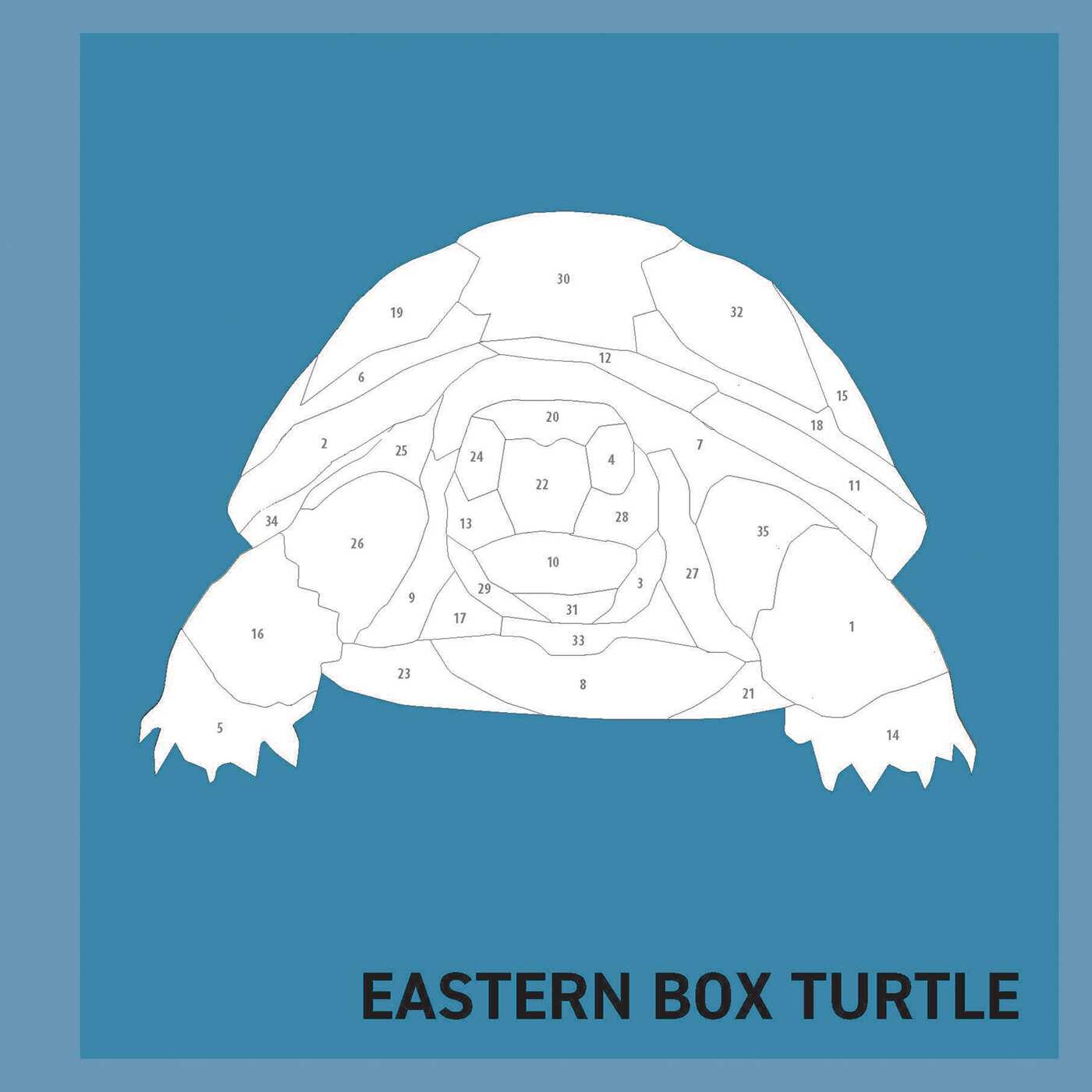 My Sticker Paintings: Reptiles