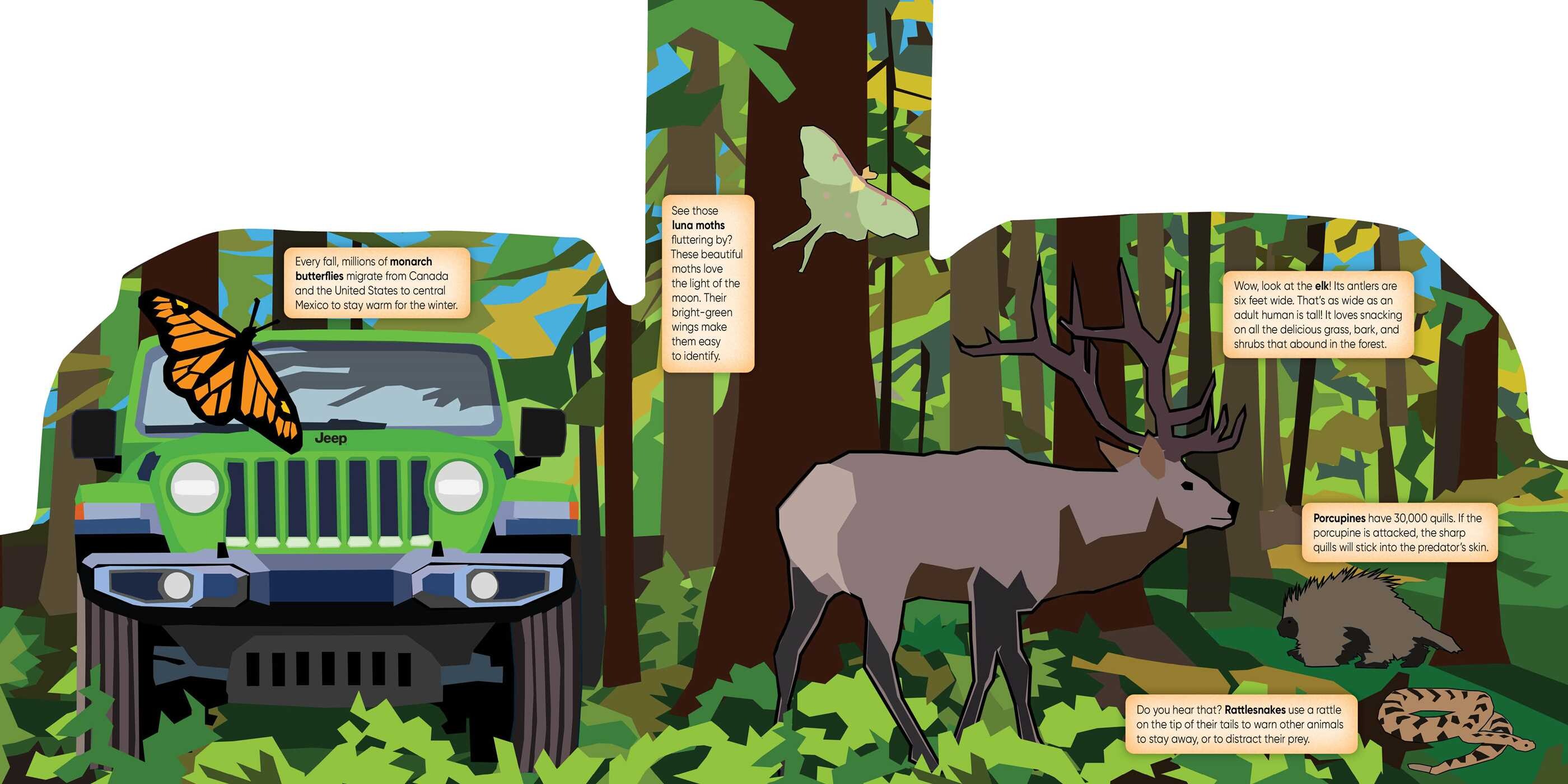 Jeep® Explore the Forest Discovery Book