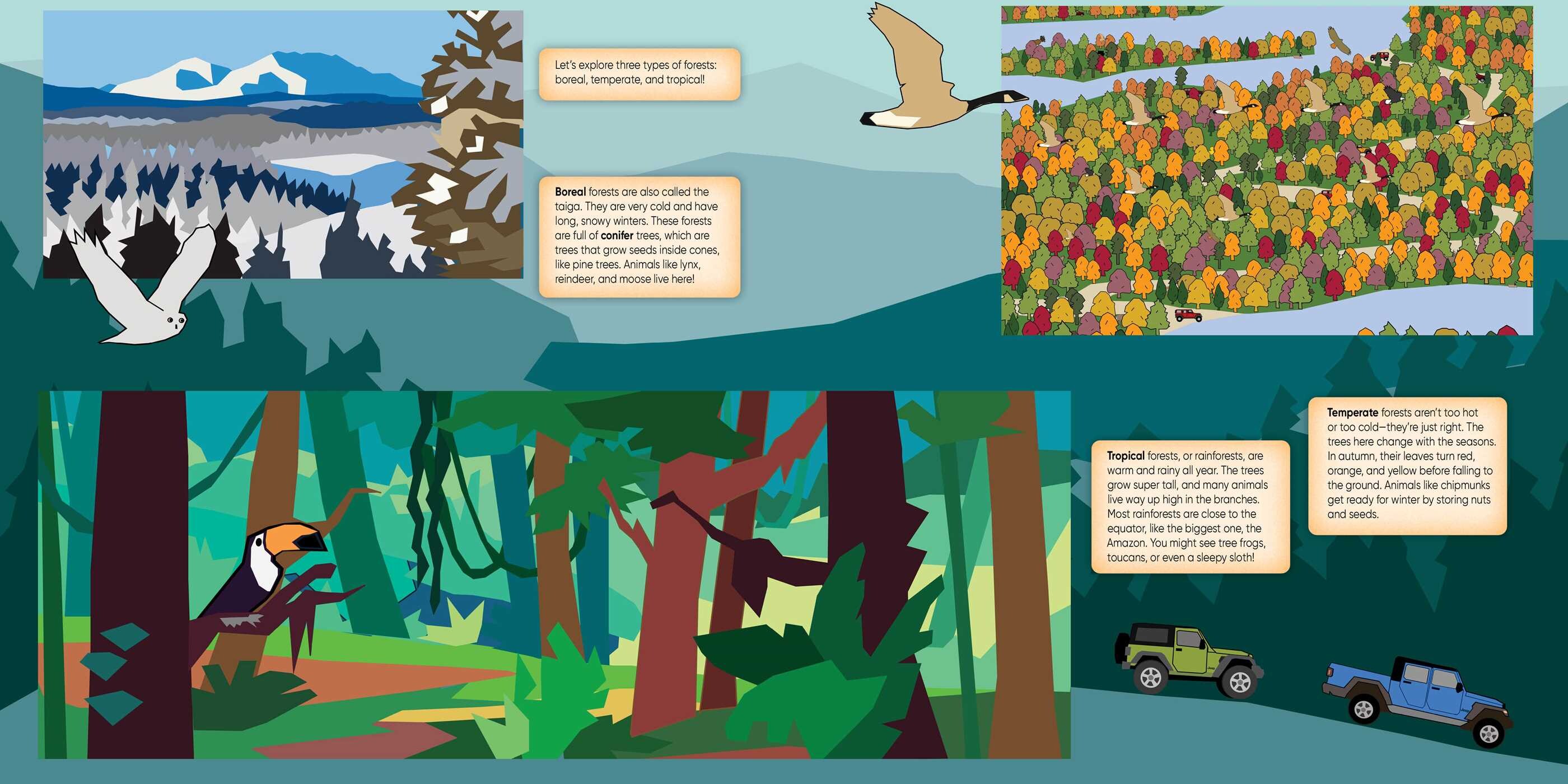 Jeep® Explore the Forest Discovery Book