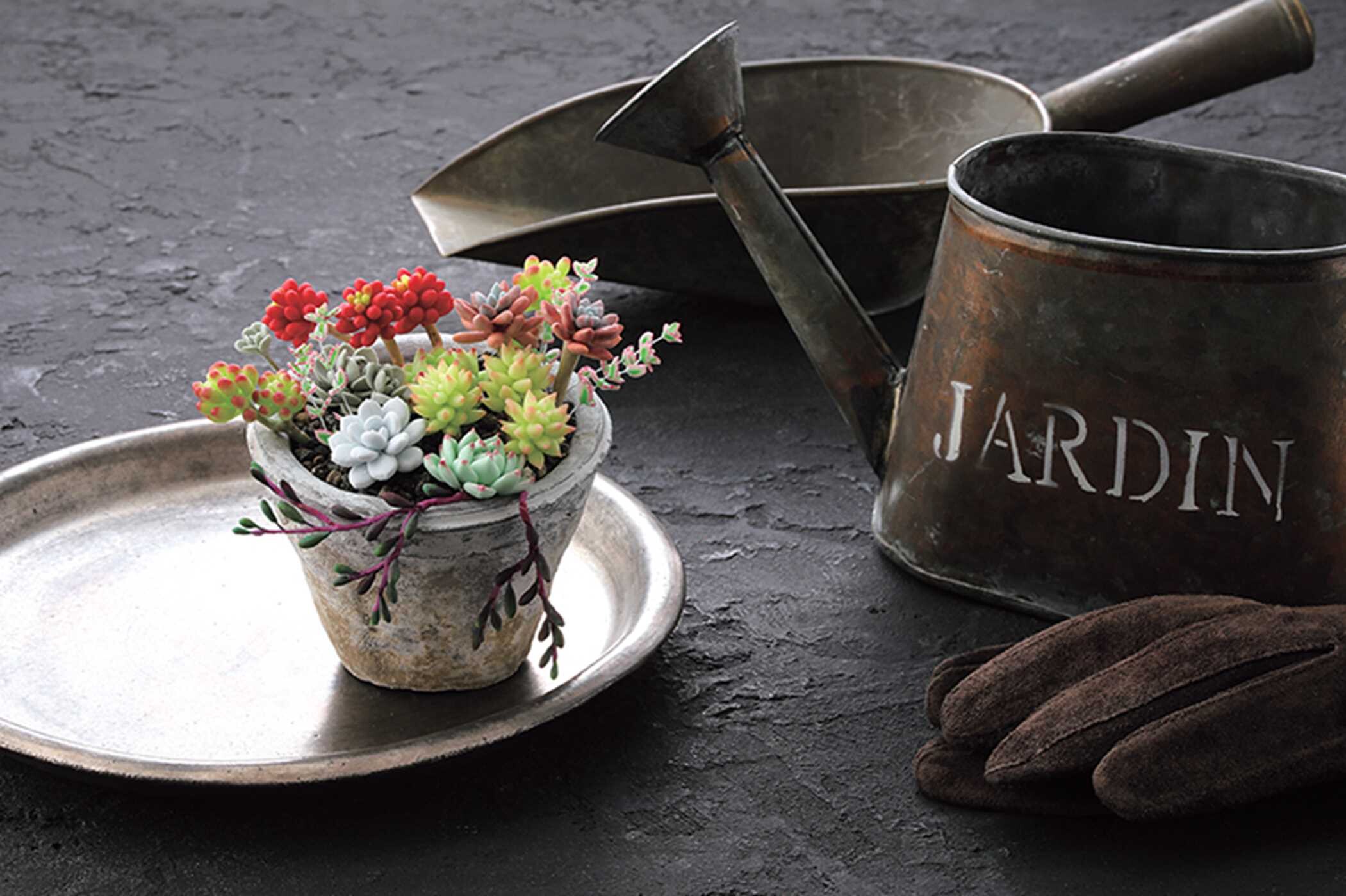 Clay Succulent Garden
