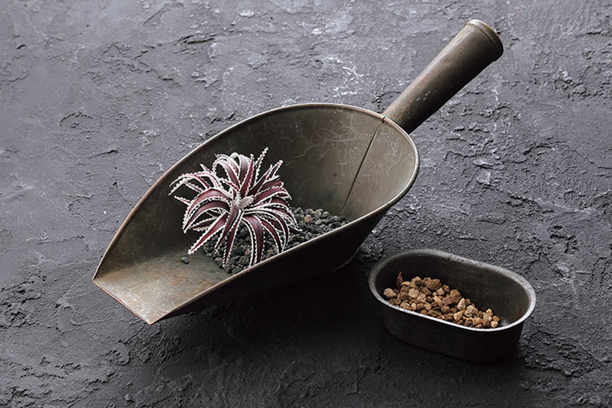 Clay Succulent Garden