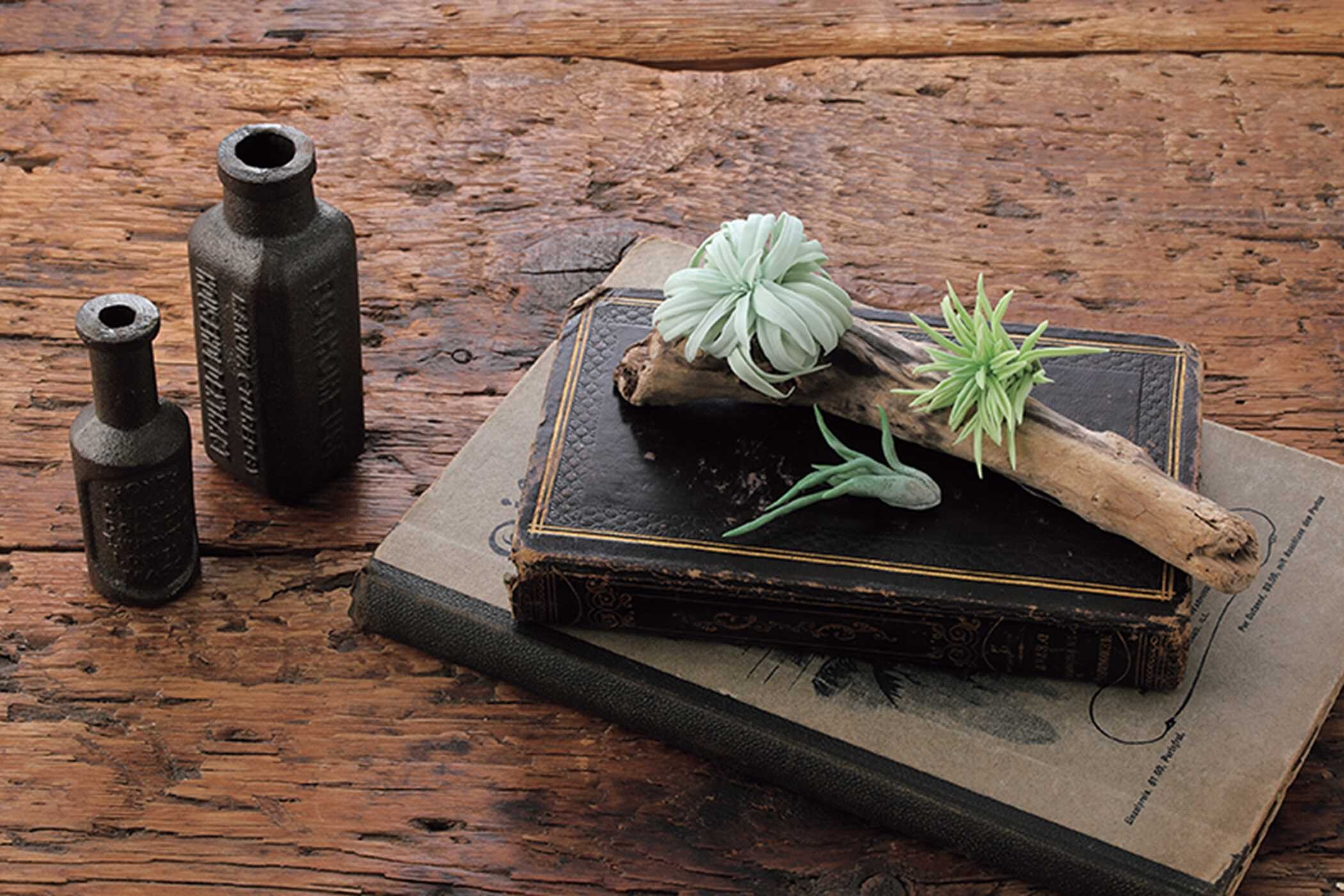 Clay Succulent Garden