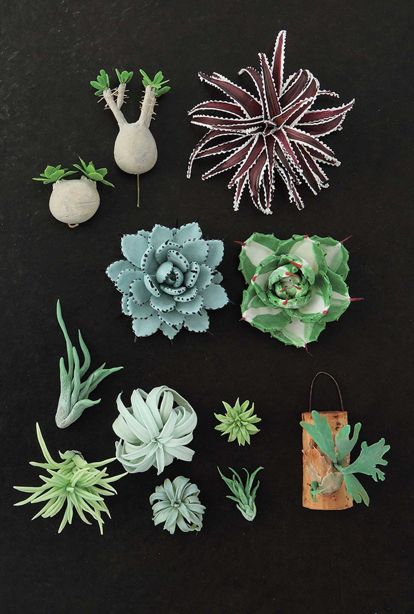 Clay Succulent Garden