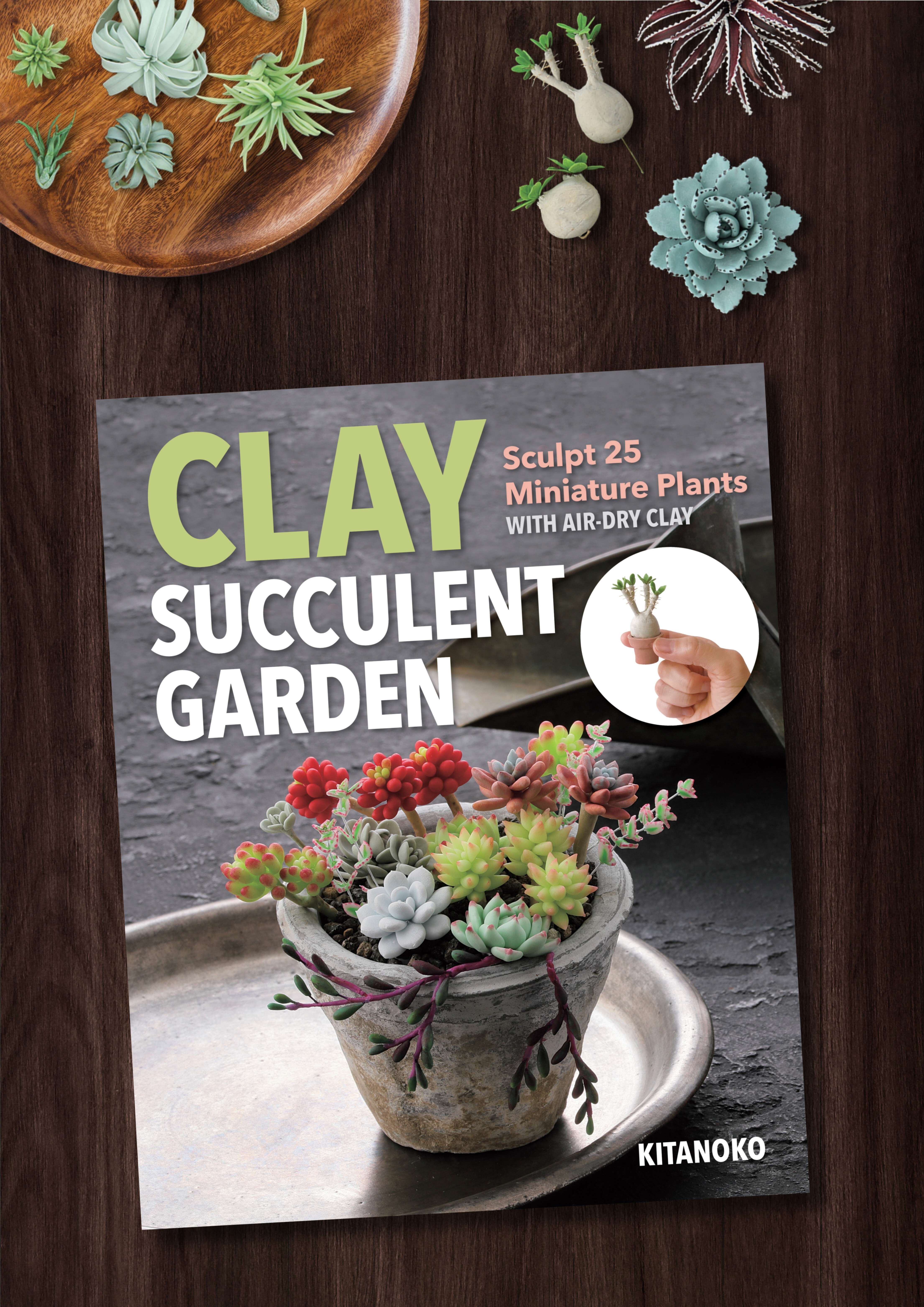 Clay Succulent Garden